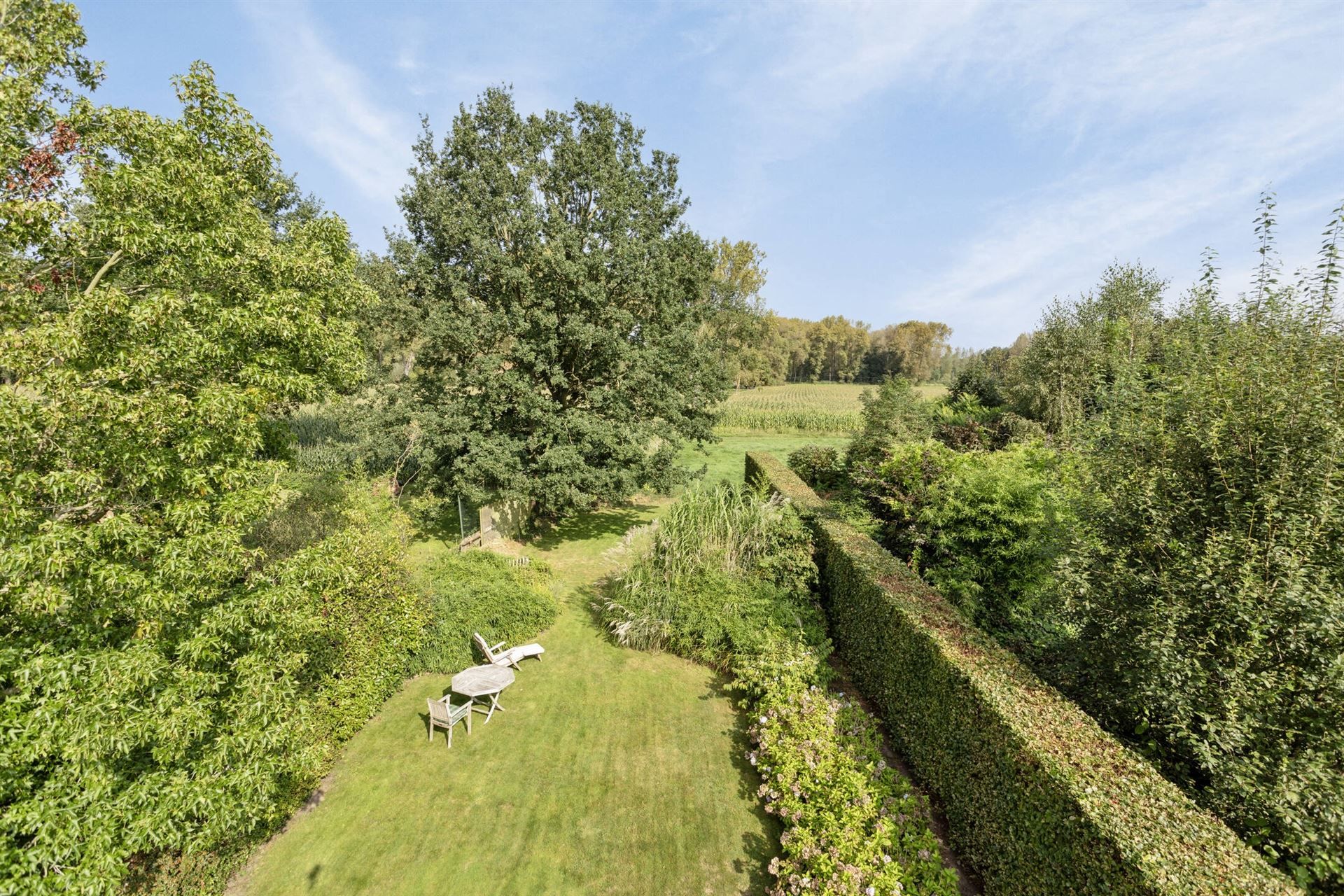 Gelijkvloerse woning met 3(6) slpkmrs en grote tuin foto 50