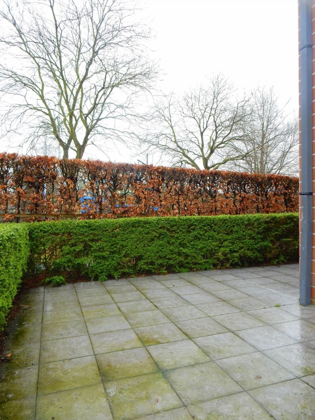 Gezellig appartement met zonnige tuin foto 9