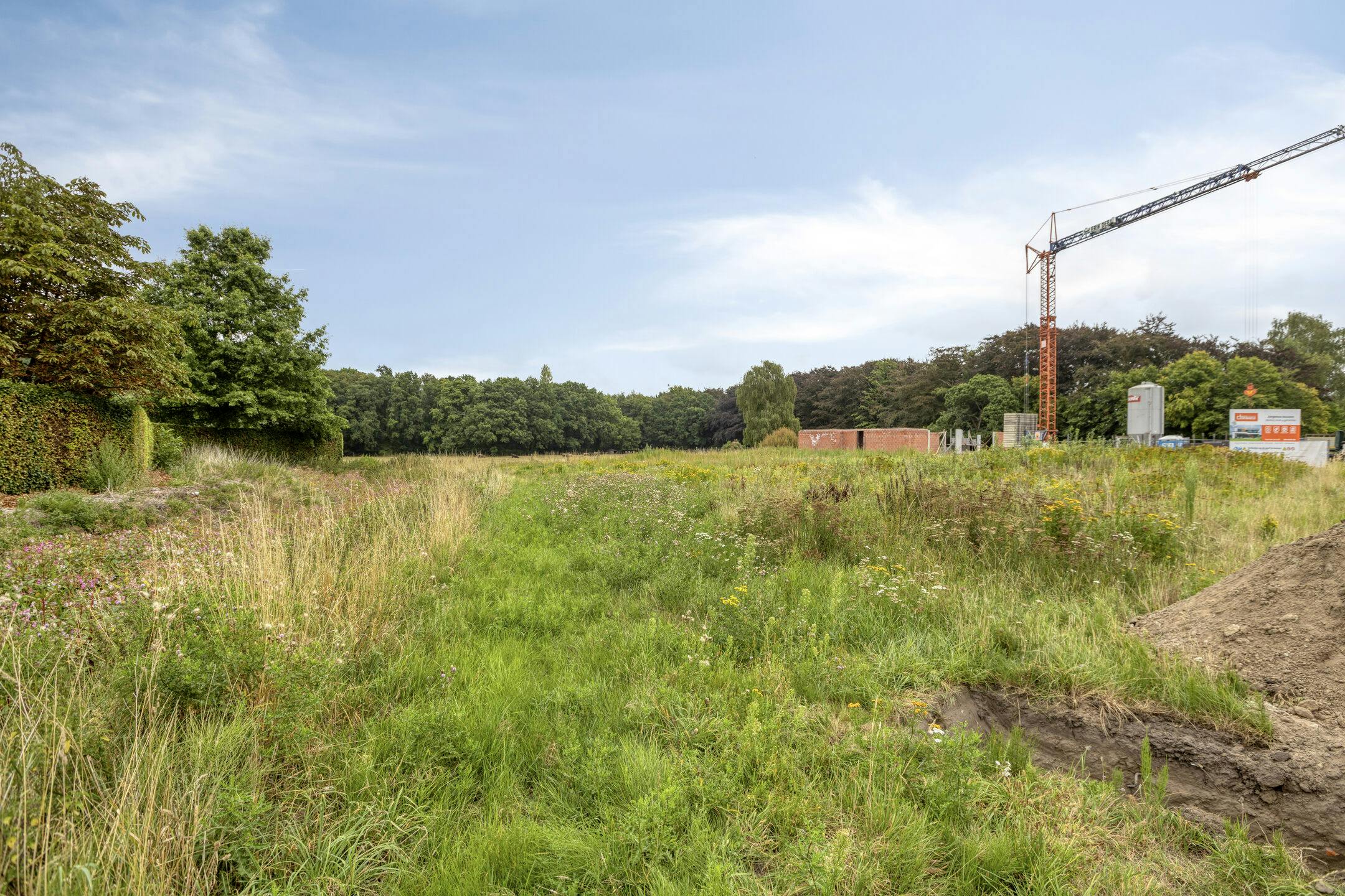 Uniek perceel bouwgrond te koop met zicht op natuurgebied  foto 5