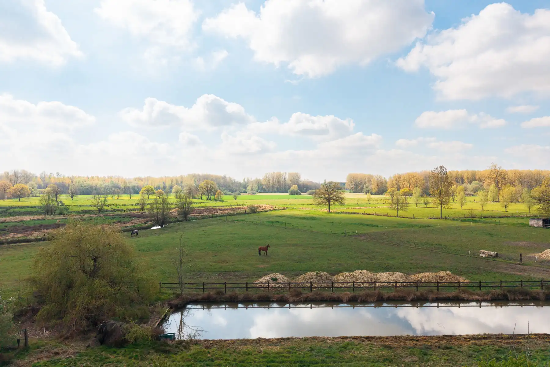 Gelijkvloerse open bebouwing met onderhoudsvriendelijke tuin foto 20