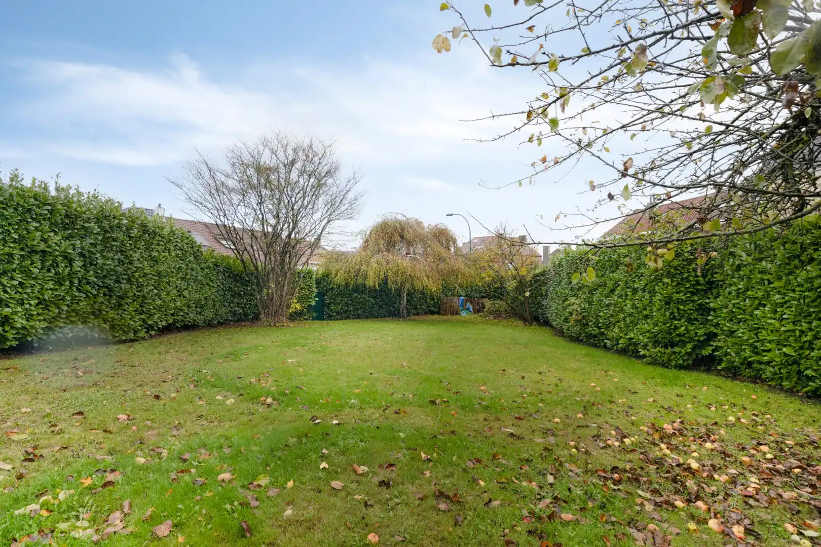 Gezellige gezinswoning met 3 slaapkamers en tuin - 1640 SINT-GENESIUS-RODE foto 5