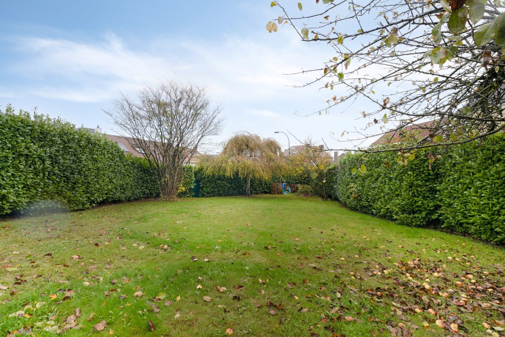 Gezellige gezinswoning met 3 slaapkamers en tuin - 1640 SINT-GENESIUS-RODE foto 5