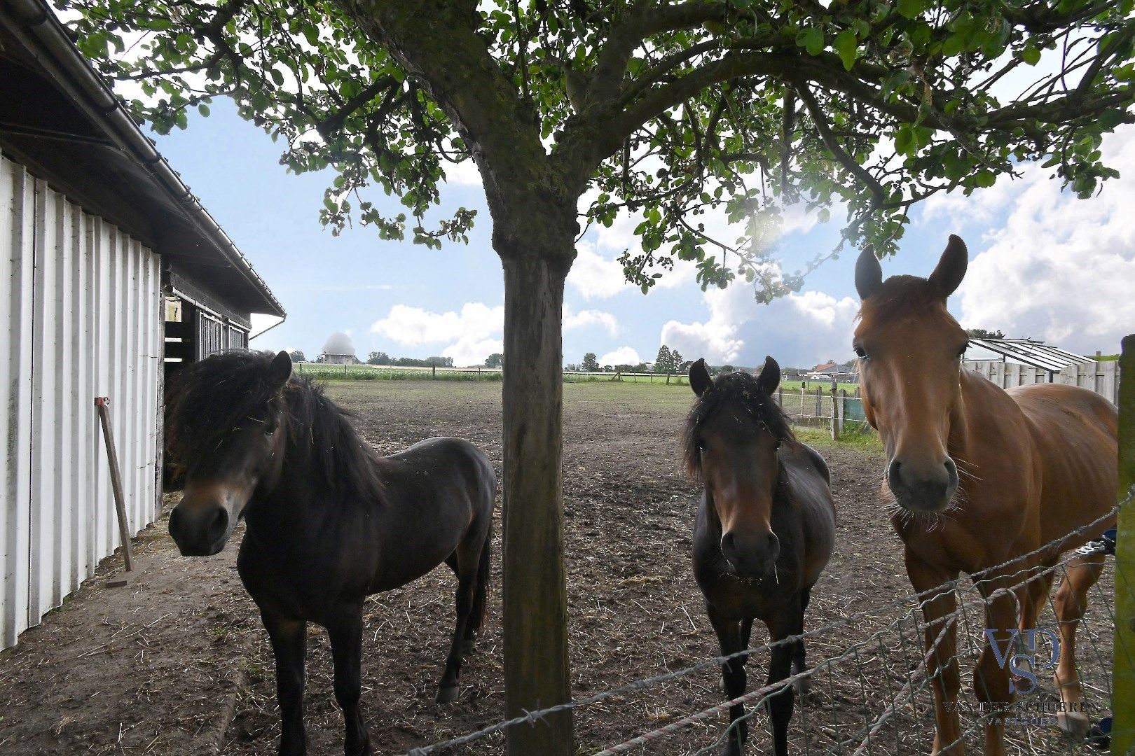 Degelijke laagbouw met grond (> 3600 m²). foto 34