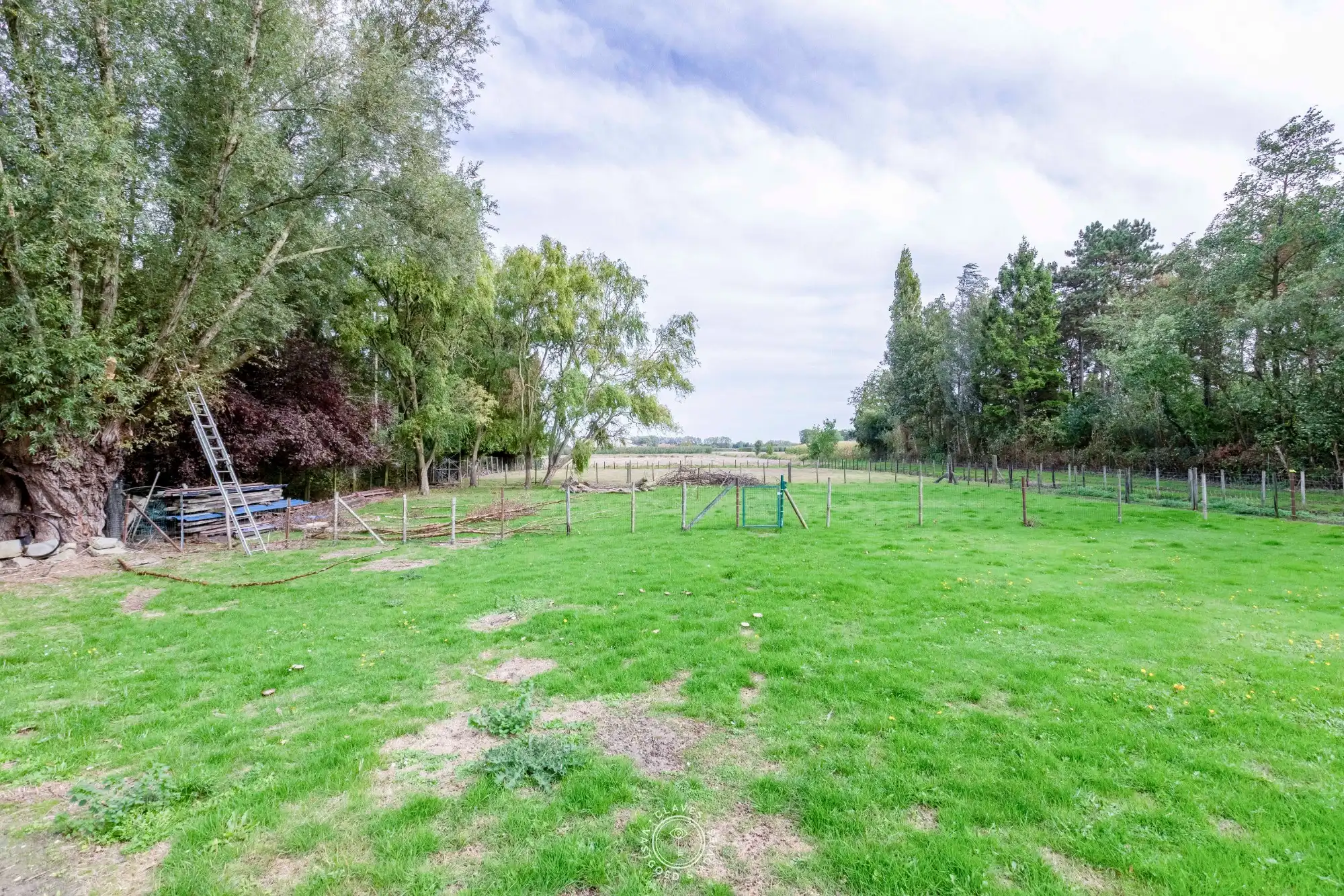 Praktische bungalow met werkplaats en weiland van 3.059 m² foto 17