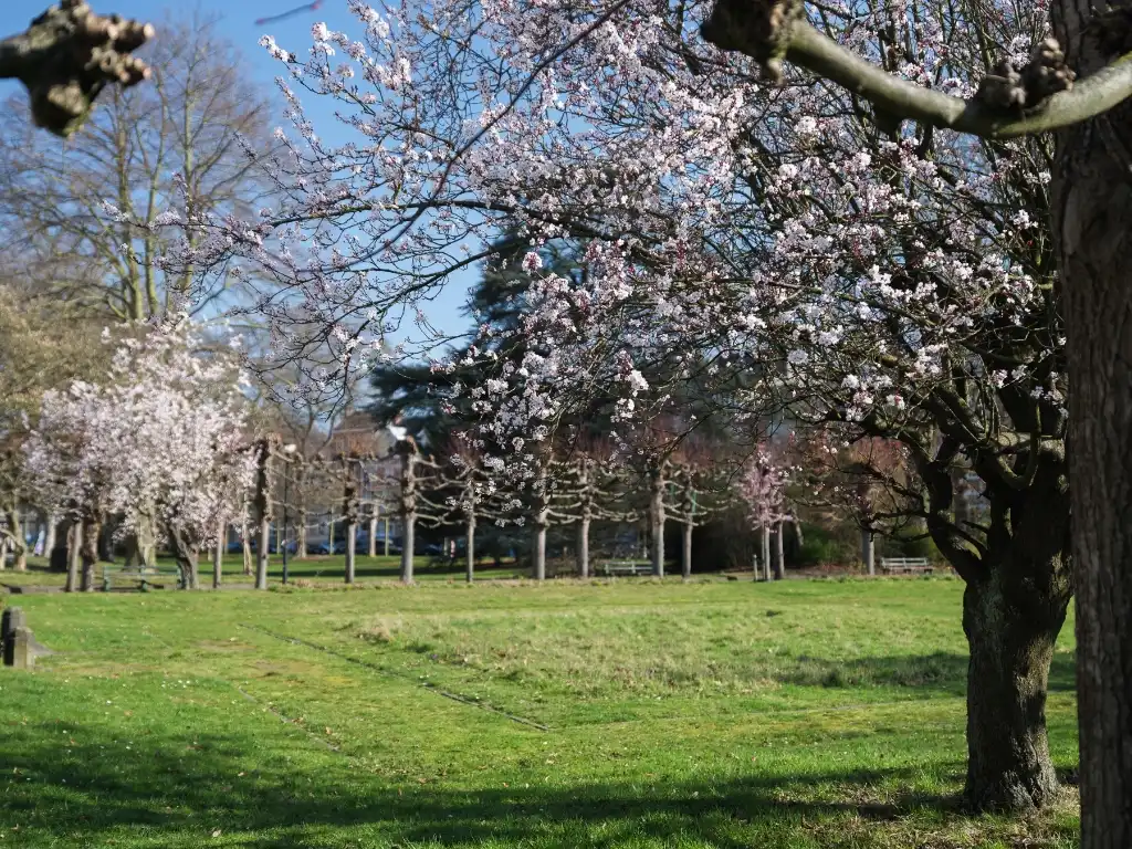 Zeldzaam aanbod - 9 studio’s en 1 appartement op een strategische ligging nabij het befaamde Miljoenenkwartier. foto 6