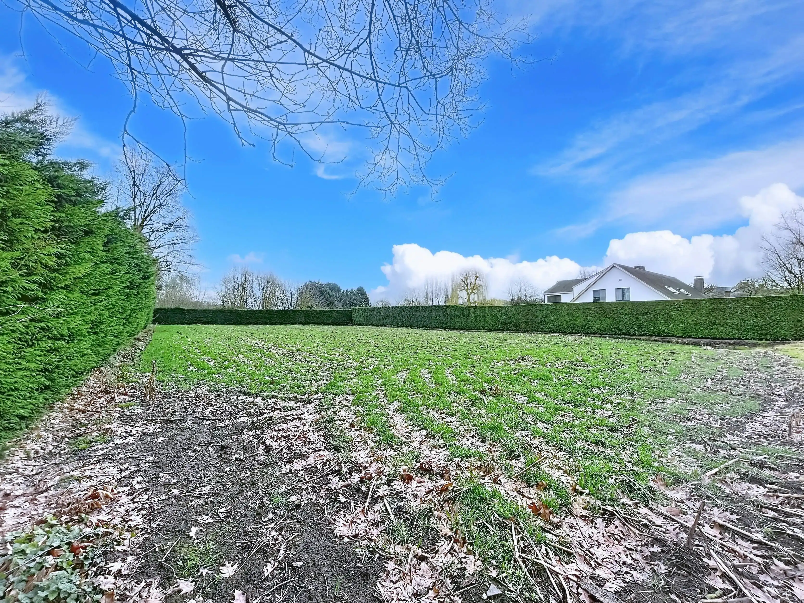 Uniek perceel bouwgrond van 3.421 m² te koop in Eeklo foto 5