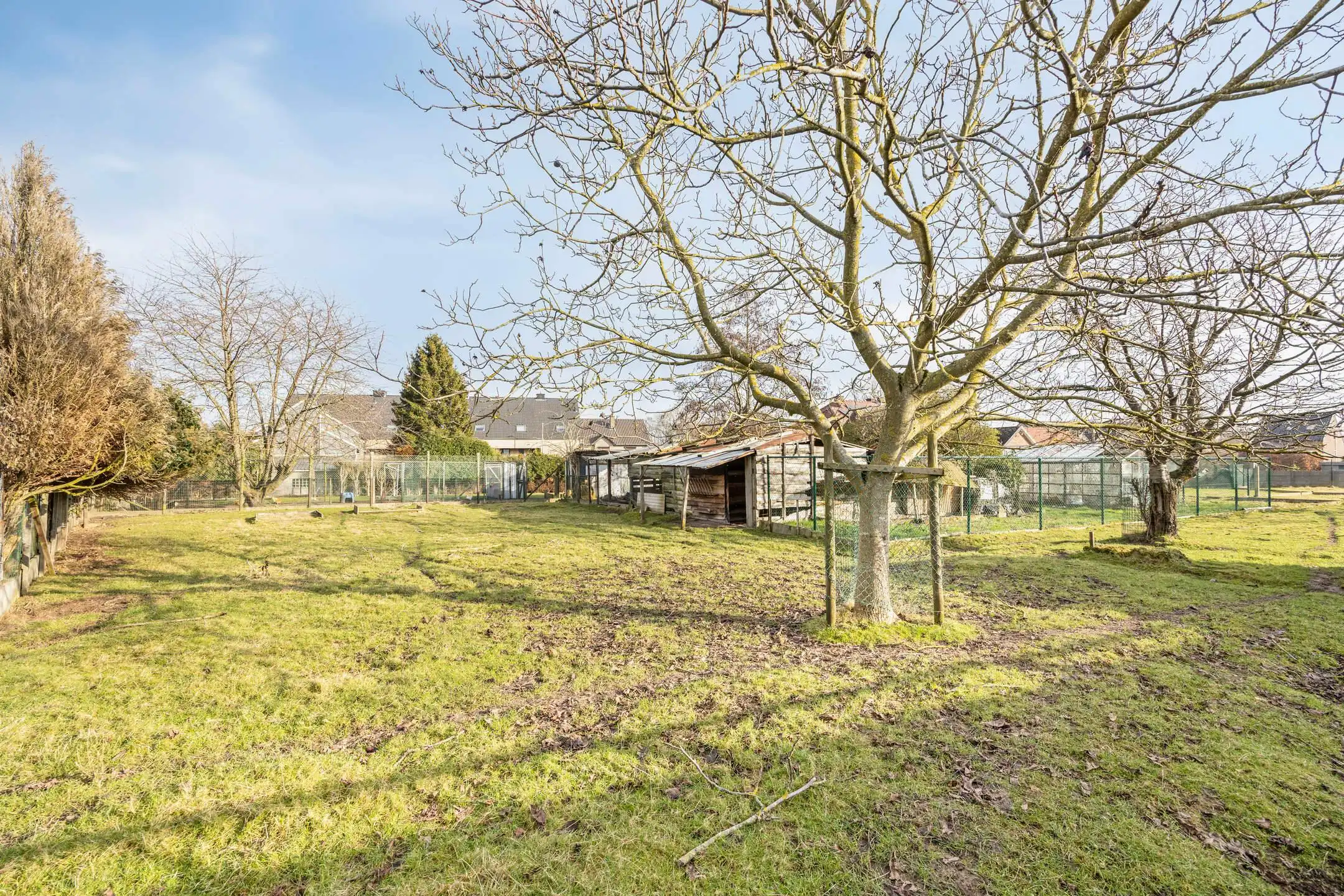 Te renoveren woning op 24a 33ca in Lanaken foto 14