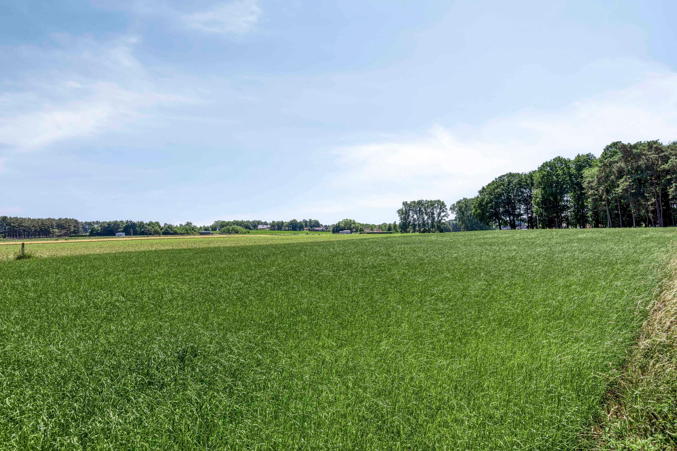 Prachtige villa op ruim perceel met mooi vergezicht foto 44