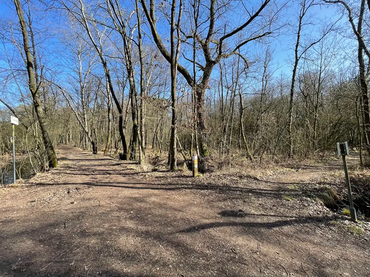 Verblijfsrecreatie met vijver foto 12