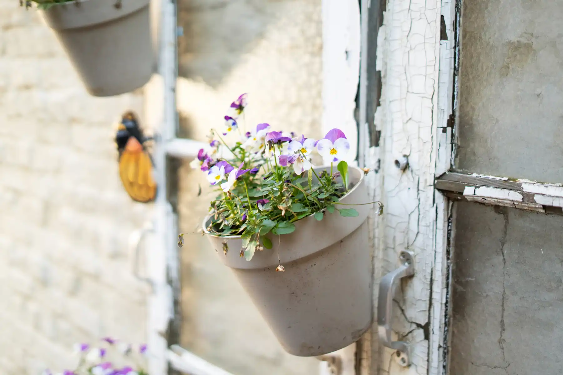 Lichtrijk 2-Slpk Appartement met Gezellige Zuid-Koer in Melle foto 5