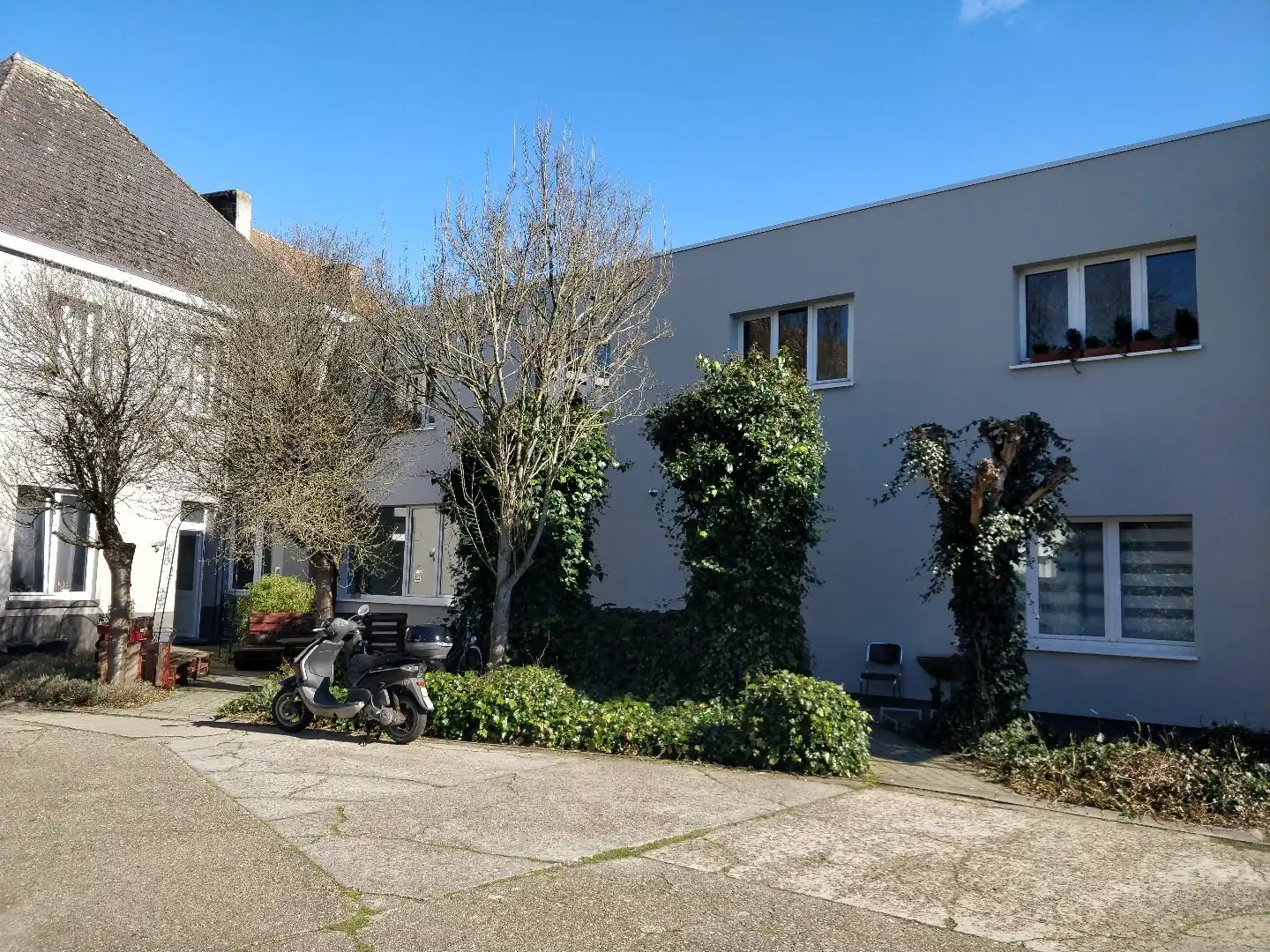 Gelijkvloerse studio te Zele foto {{pictureIndex}}