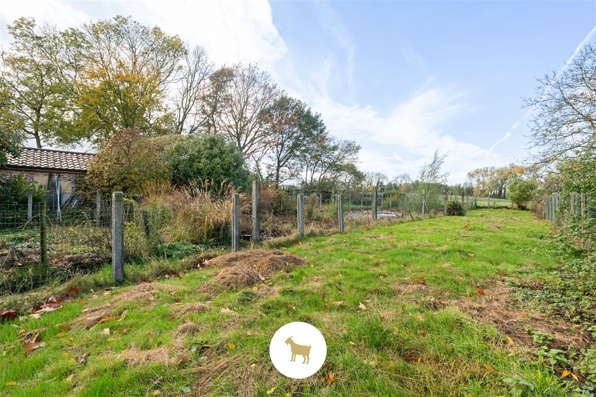 Perceel BOUWGROND (na afbraak bestaande bebouwing) voor OPEN BEBOUWING van ca. 954m² groot foto 2