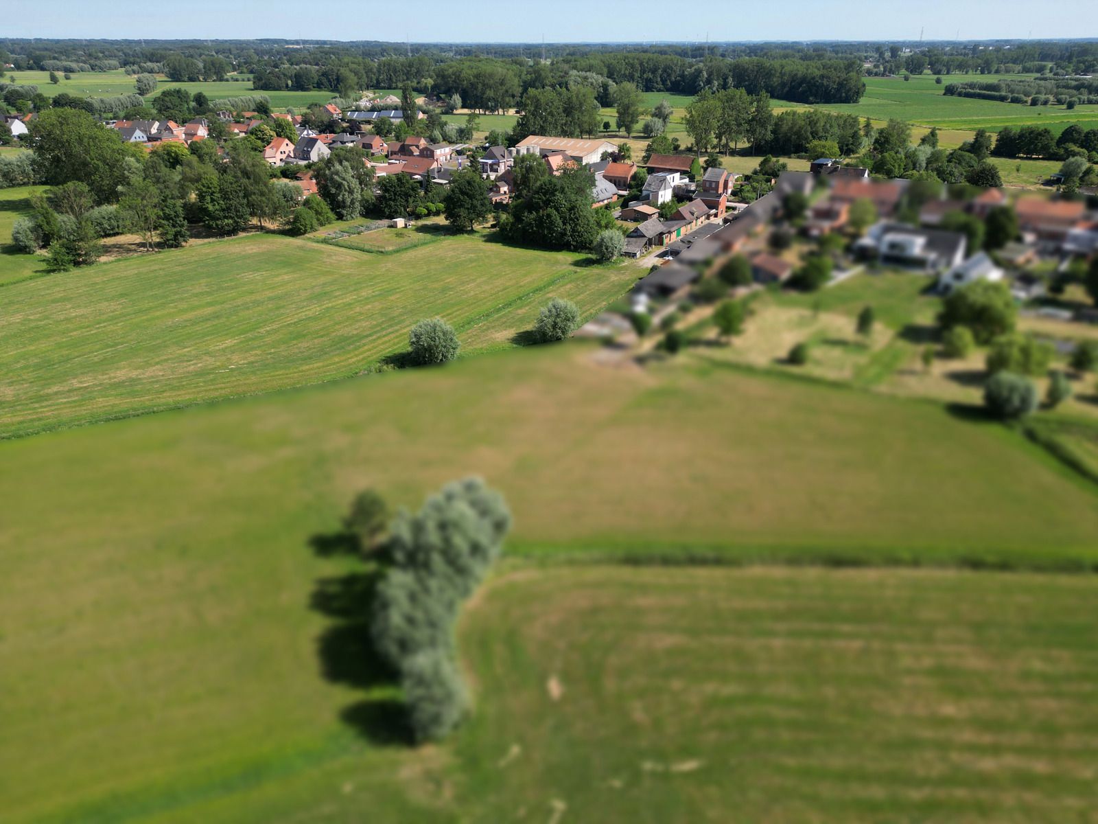 WONING MET AANPALENDE WEIDE EN VERSCHILLENDE BIJGEBOUWEN foto 7