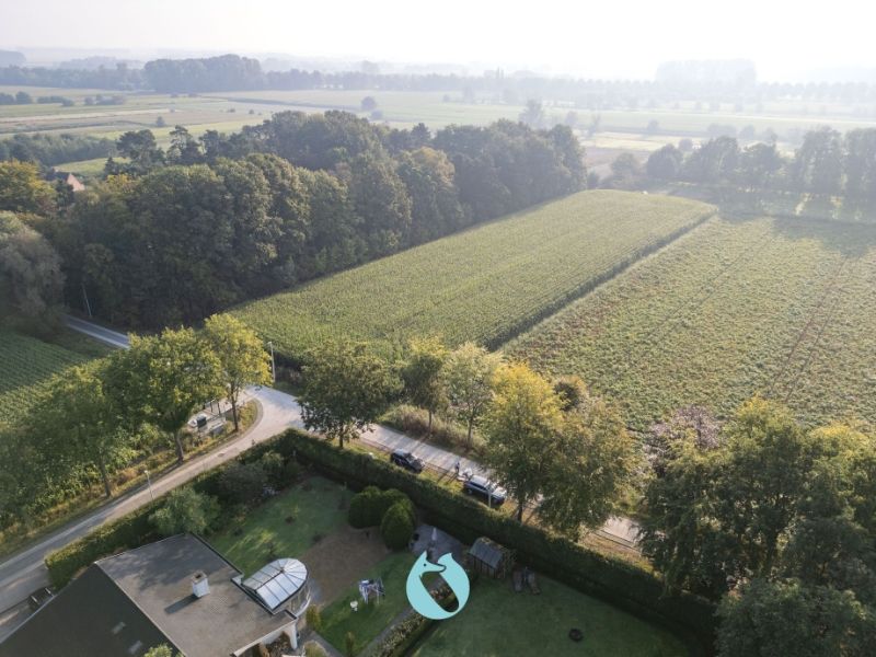 Perceel landbouwgrond van 7.550m² foto 4