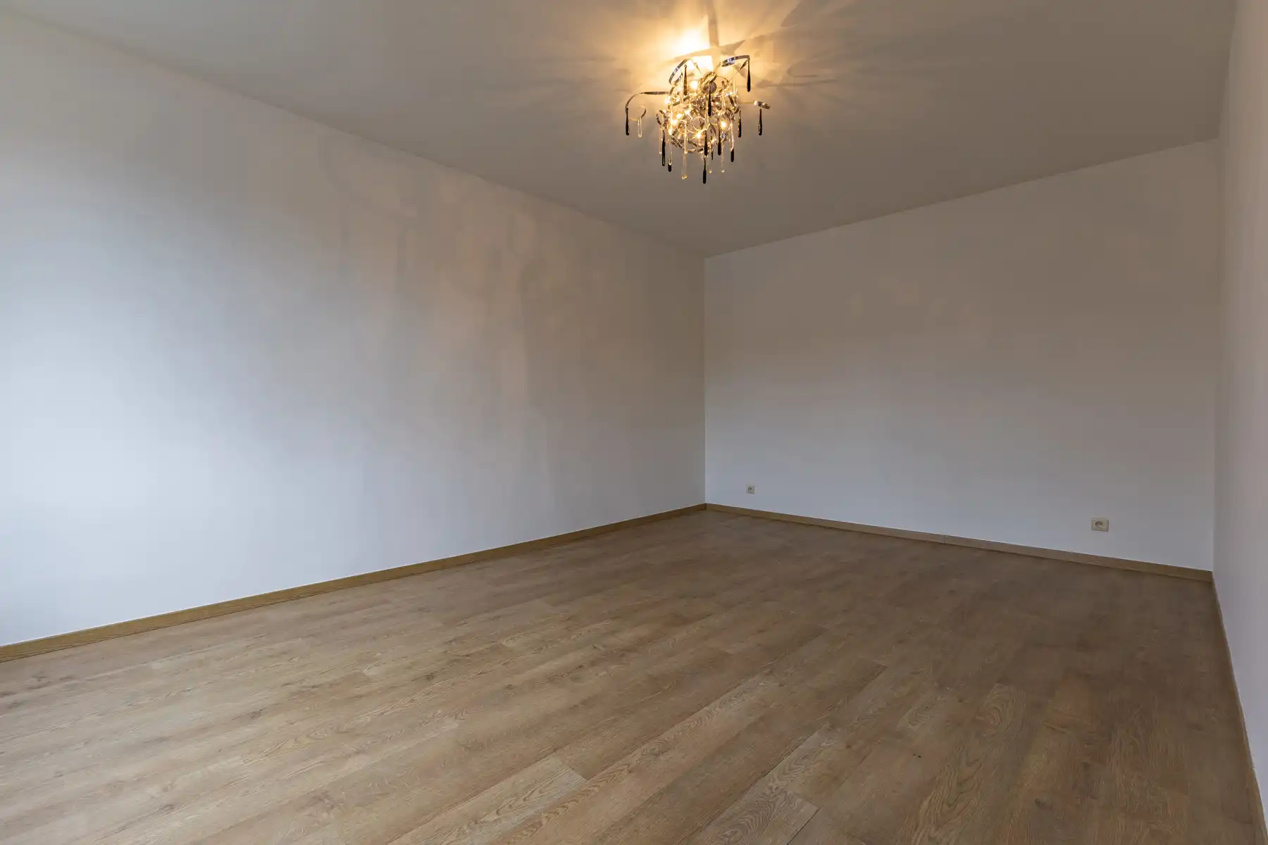 Commercieel gelijkvloers met duplex in centrum Halle foto 16