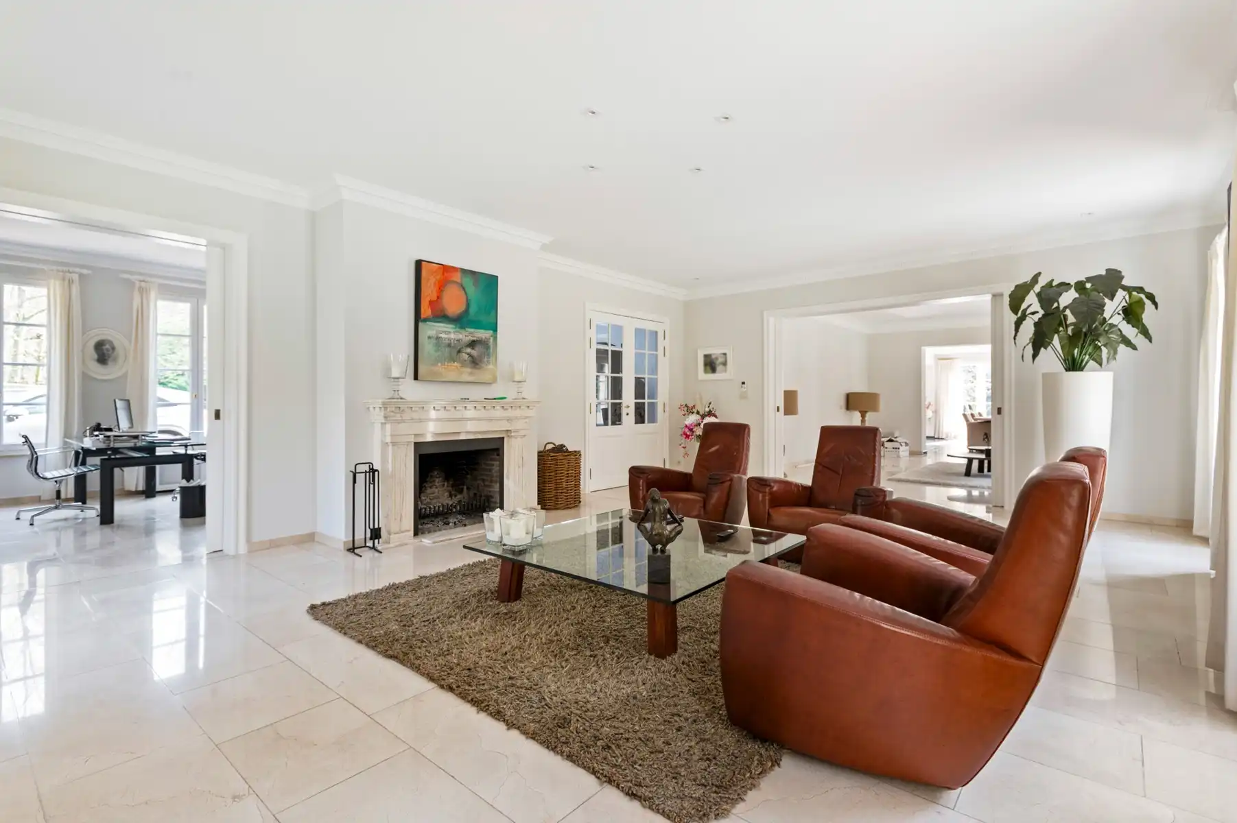 Exclusieve instapklare villa met 15.088m² parktuin foto 7