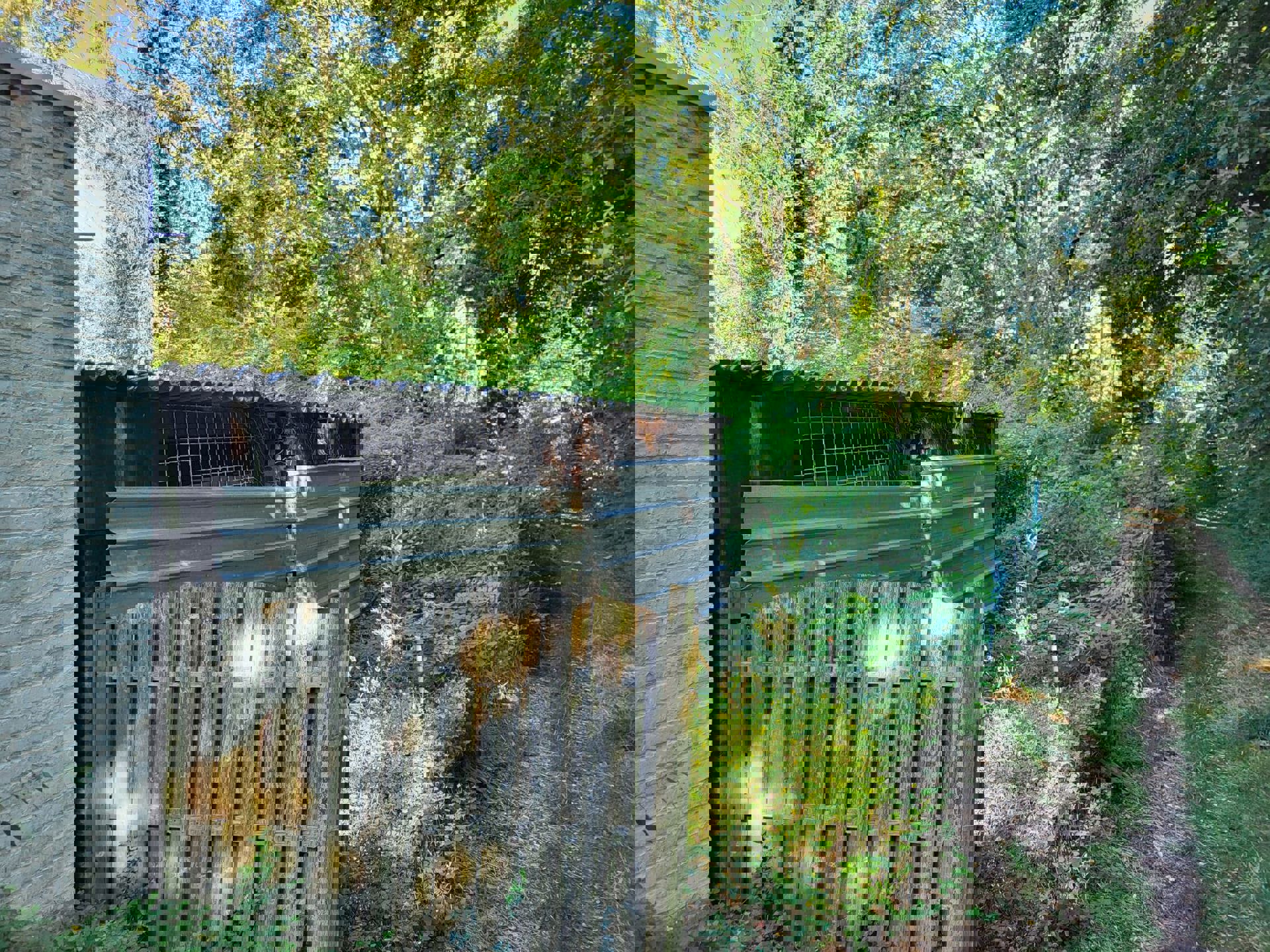 Te koop in Genk: (handels)huis - Hasseltweg 344 foto 5