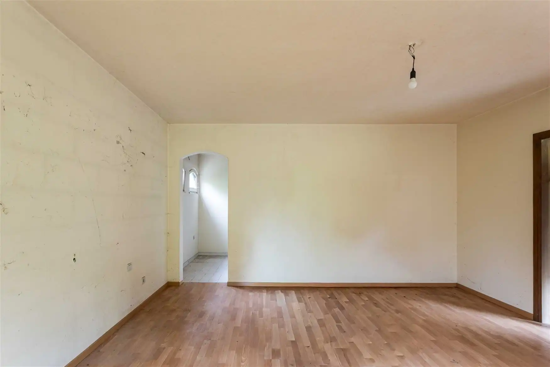 Bouwgrond met eigen bos op +4.000 m² in Eke foto 7