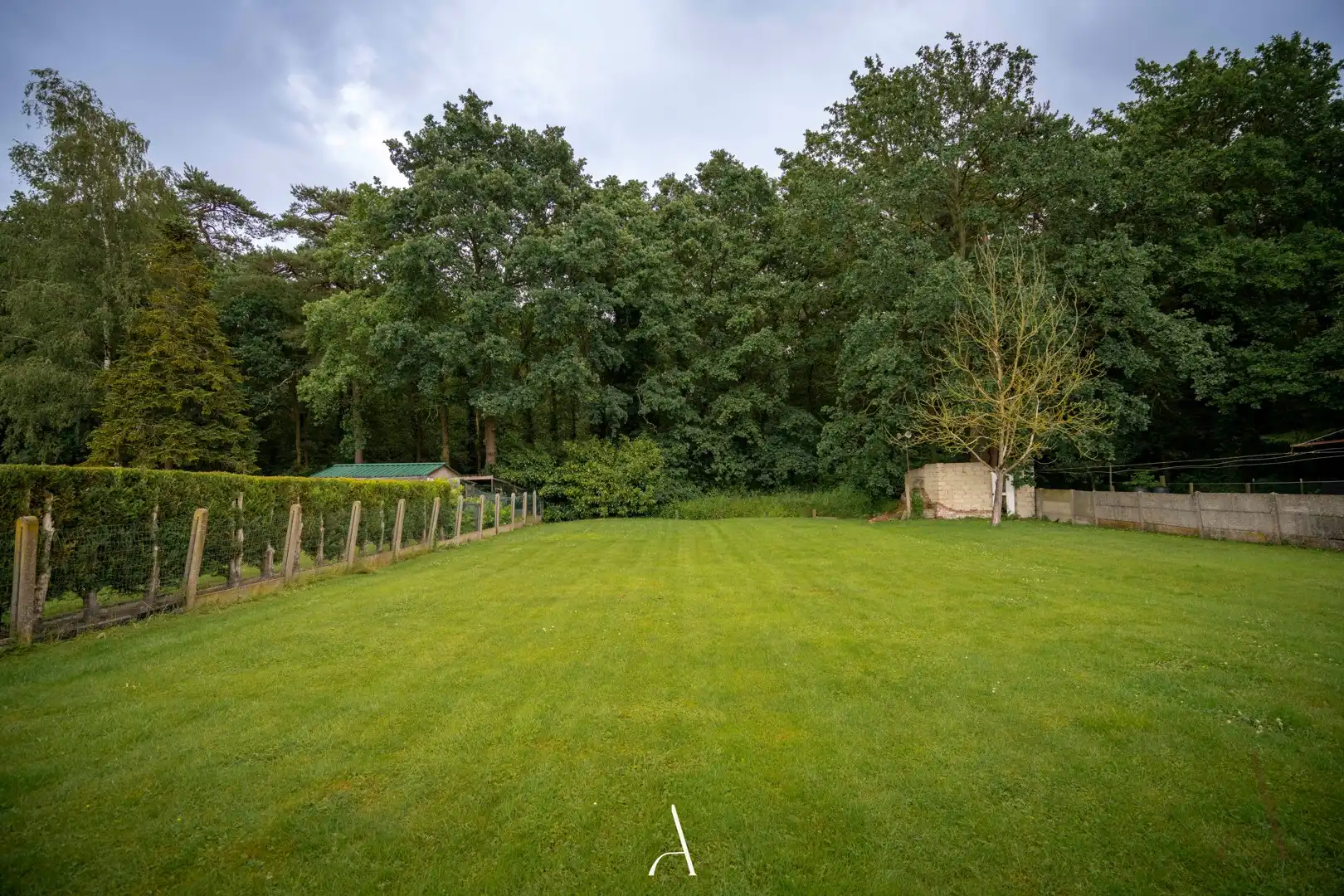 Te renoveren woning op 1.106 m², met bosrijk uitzicht op toplocatie in Schootsheide (Neeroeteren) foto 3