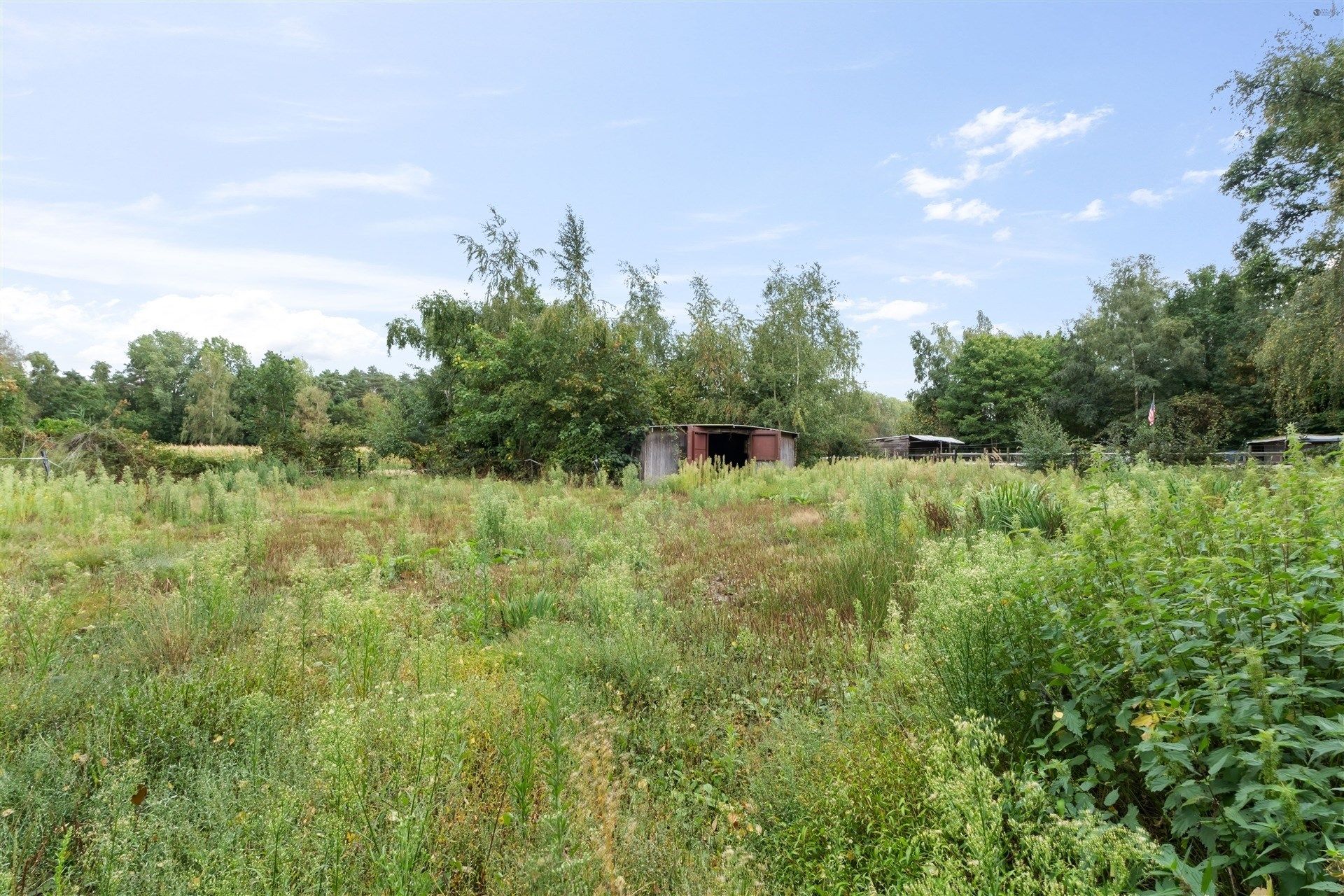 Ruime vakantiewoning  foto 4