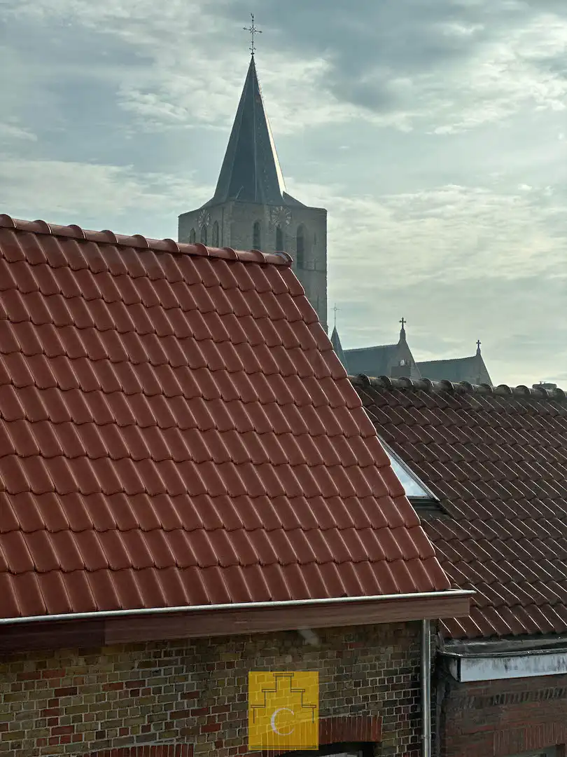 Breedhuis met historische cachet, karaktergevel, patio en fietsenpoortje foto 28