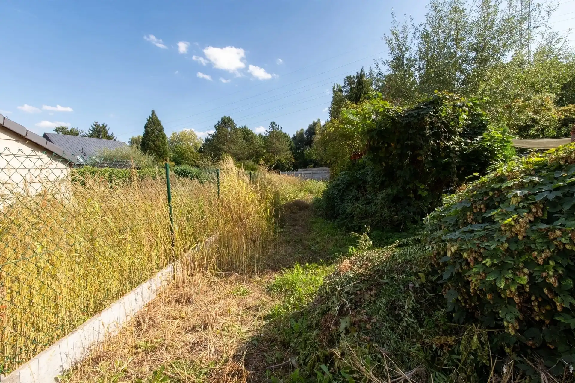 Woning met tuin foto 12