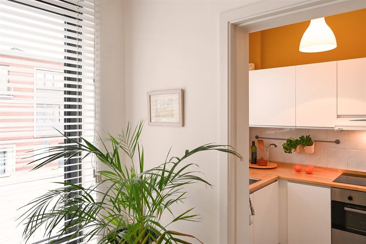 Gezellig appartement met 2 slpk foto 15