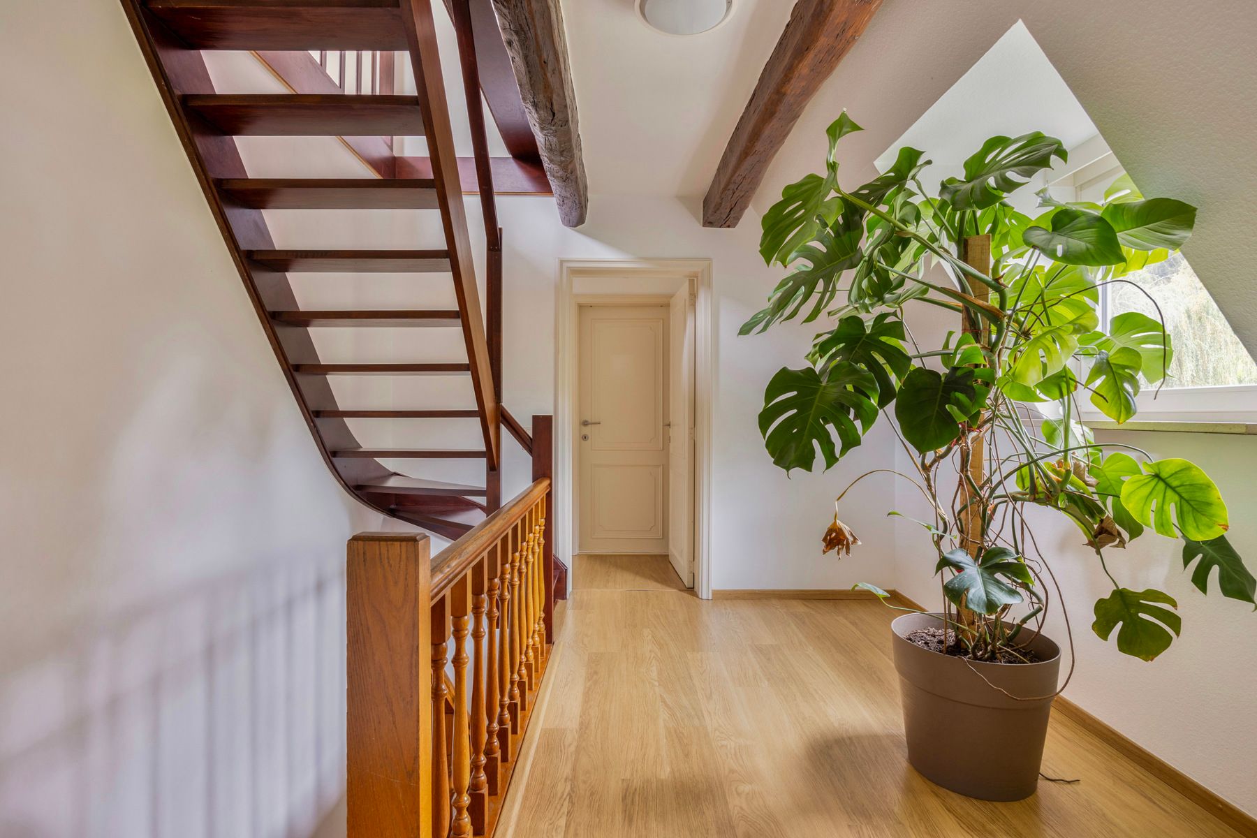 Huis te huur foto 11