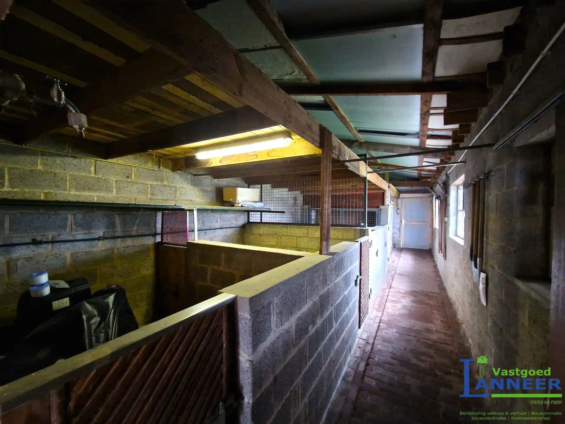 Woning met grote garage, 4 slpkmrs en diverse bijgebouwen foto 14