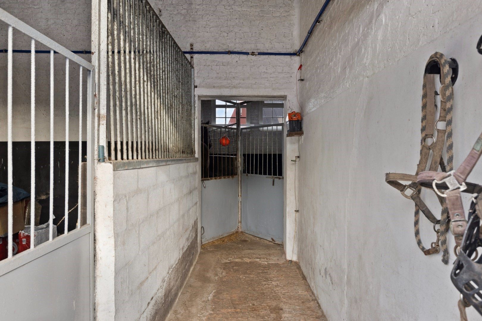 Te koop: Charmante boerderij met paardenstallen van 1ha op toplocatie in Boutersem - bewoonbare opp. 158 m² (uitbreiding mogelijk)  foto 18