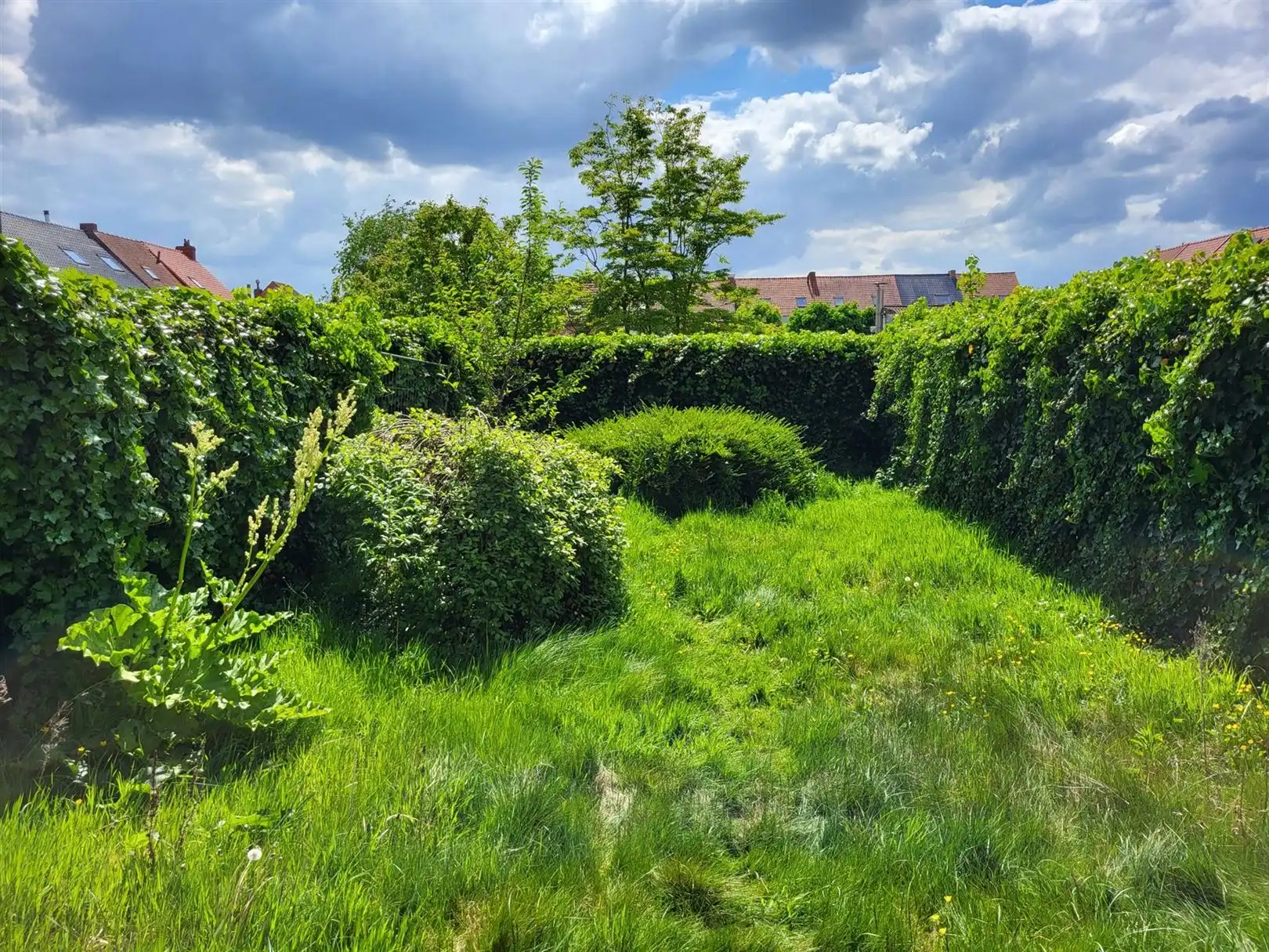 Bouwgrond met goedgekeurde (bouw) omgevingsvergunning foto 2