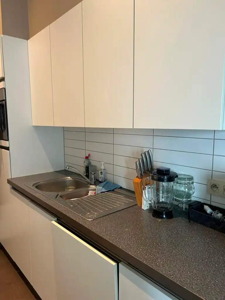 Mooi gelijkvloers appartement vlakbij Scheldekaaien  foto 4