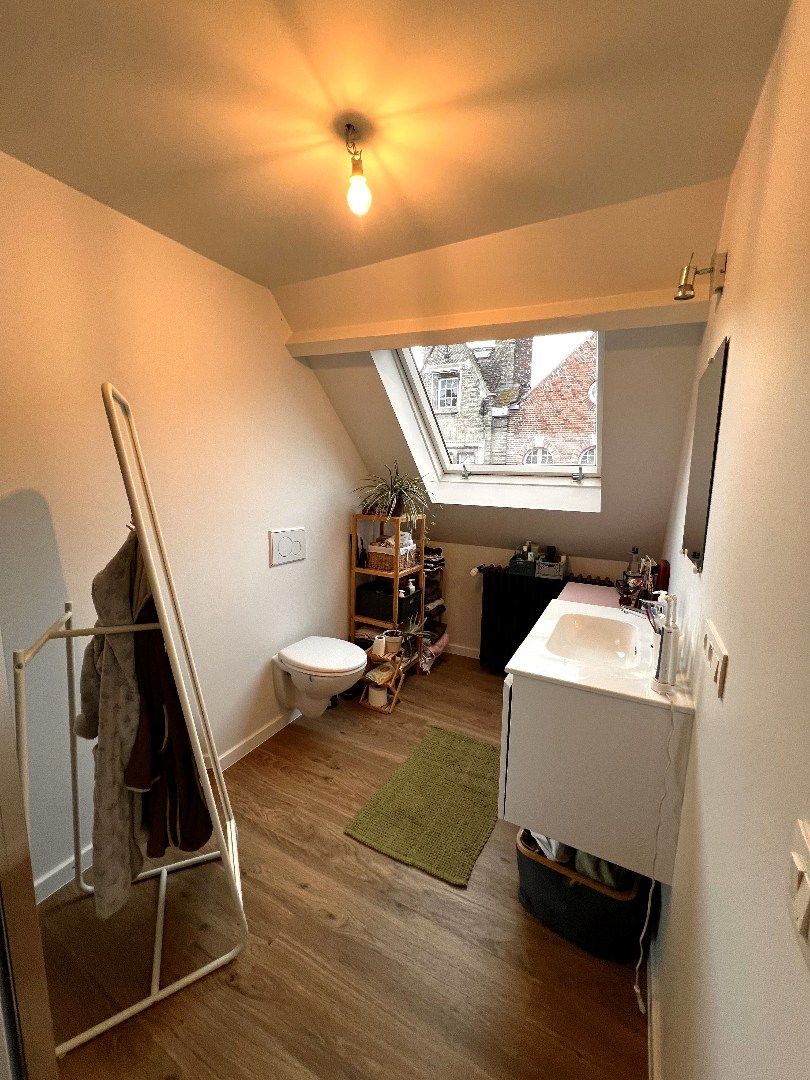 GERENOVEERD DUPLEX APPARTEMENT MET 1 SLAAPKAMER IN HET CENTRUM VAN IEPER foto 10