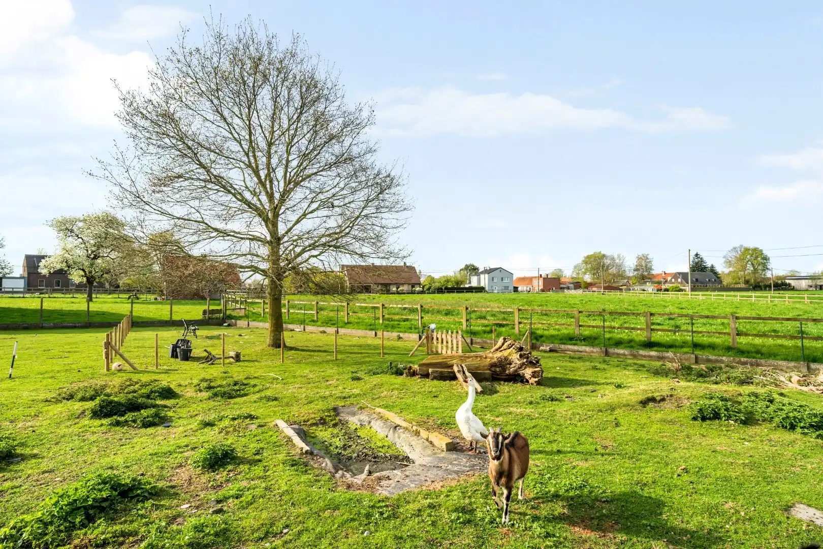 Open woning met 3 slaapkamers, dubbele garage en prachtig landelijk zicht in Wingene foto 3