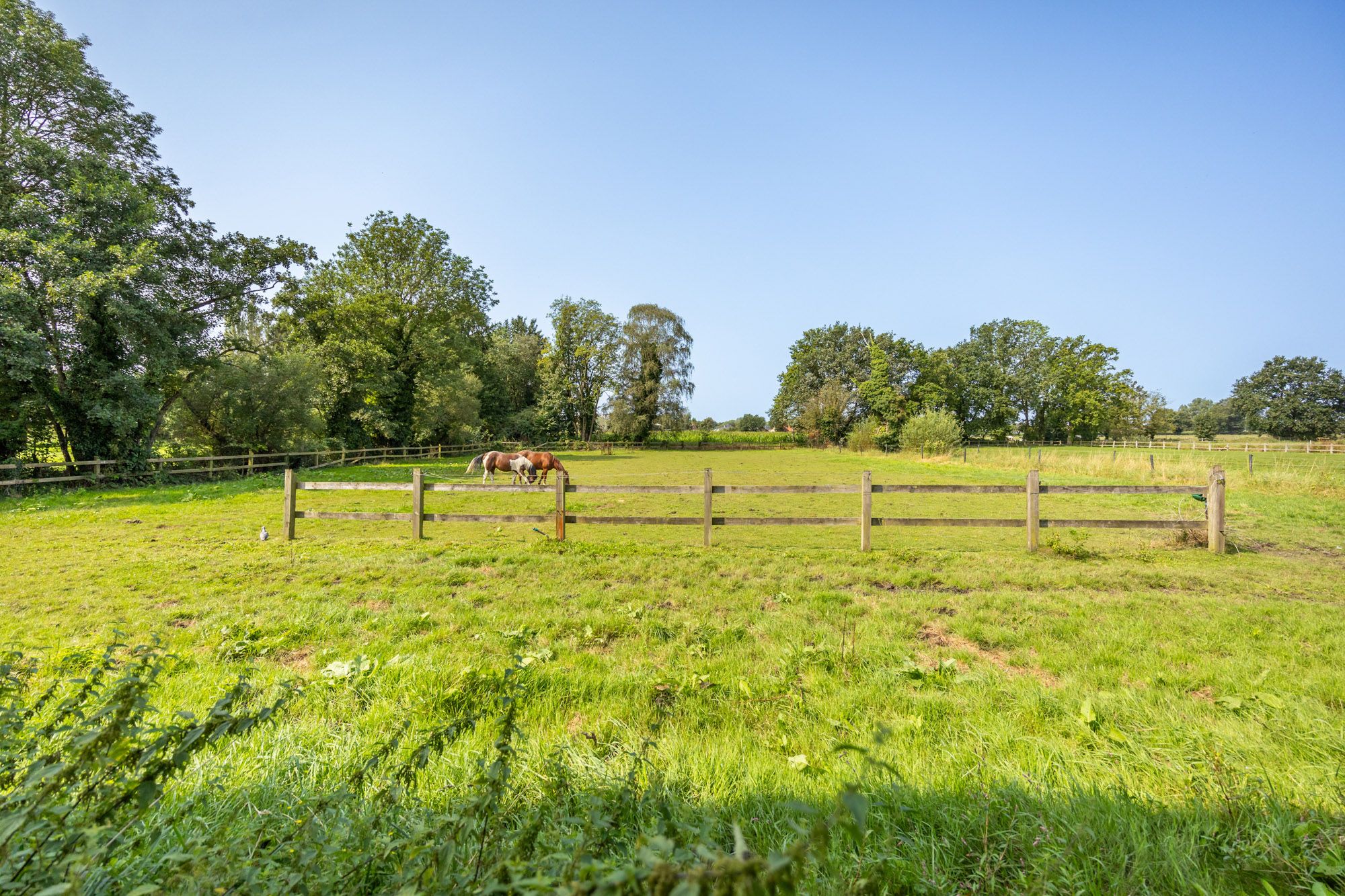 IDEALIS VASTGOED - Perceel landbouwgrond gelegen ter hoogte van Rodenbachstraat 5 met een oppervlakte van 22a 07ca. foto 1