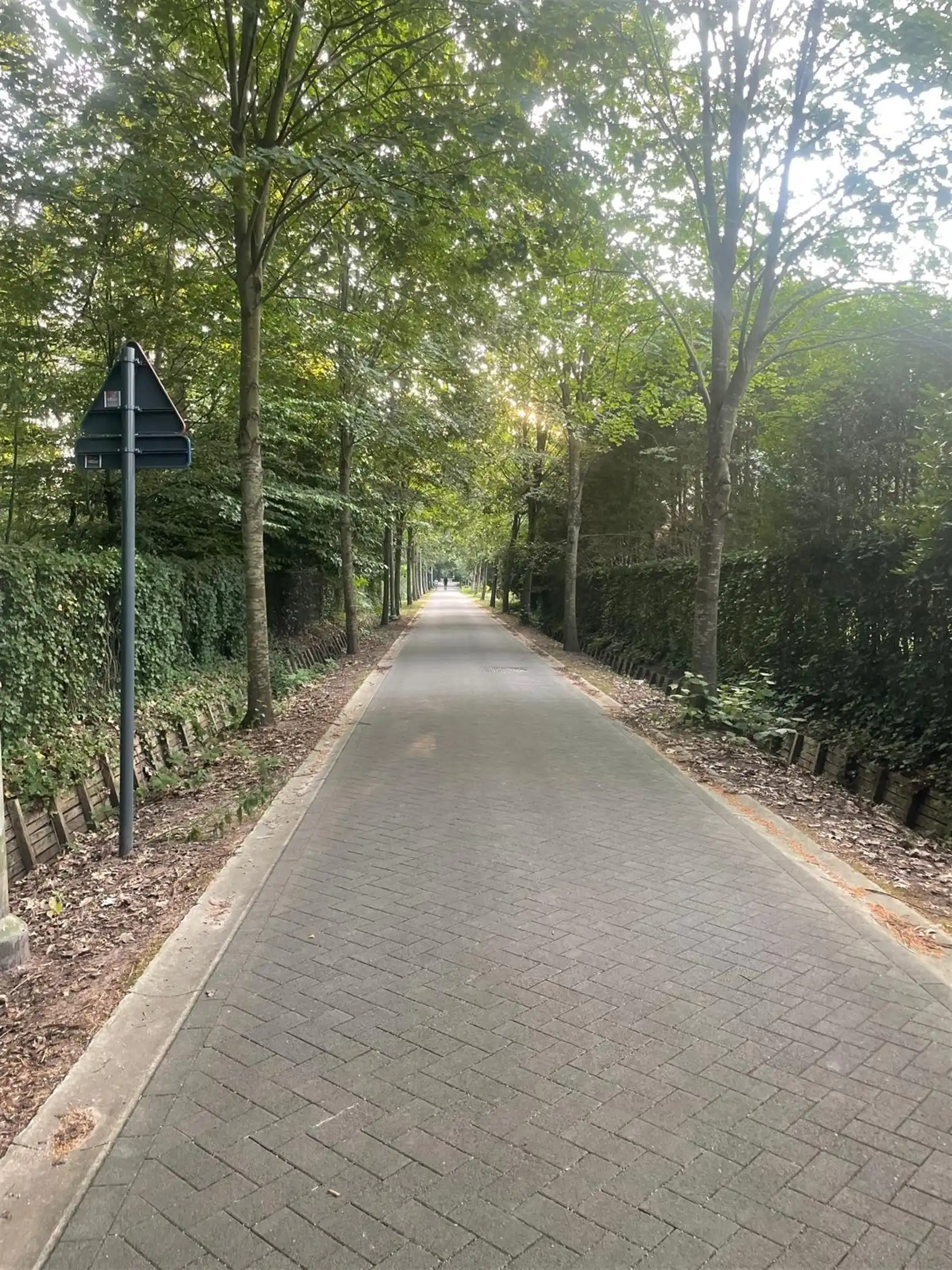 Exclusieve villagrond van ca. 3.099 m² op toplocatie in Schotenhof foto 13