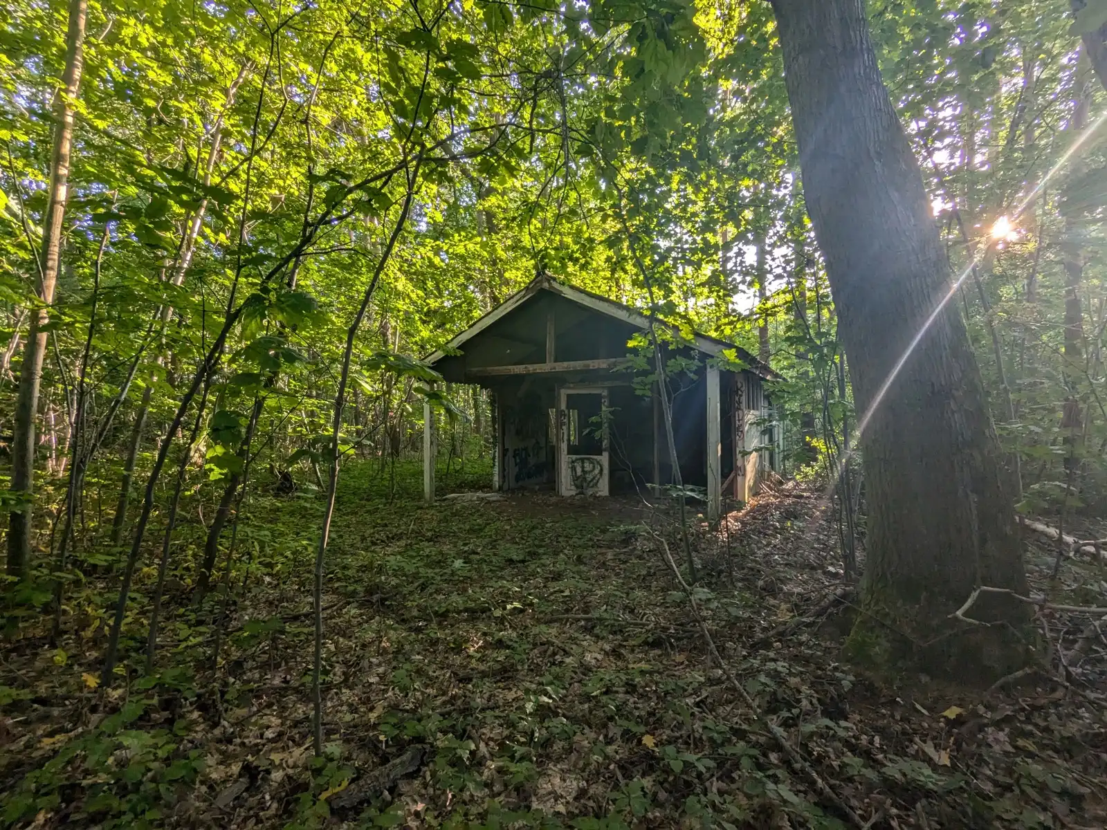 Natuurgebied in residentiële wijk met vakantiewoning foto 2