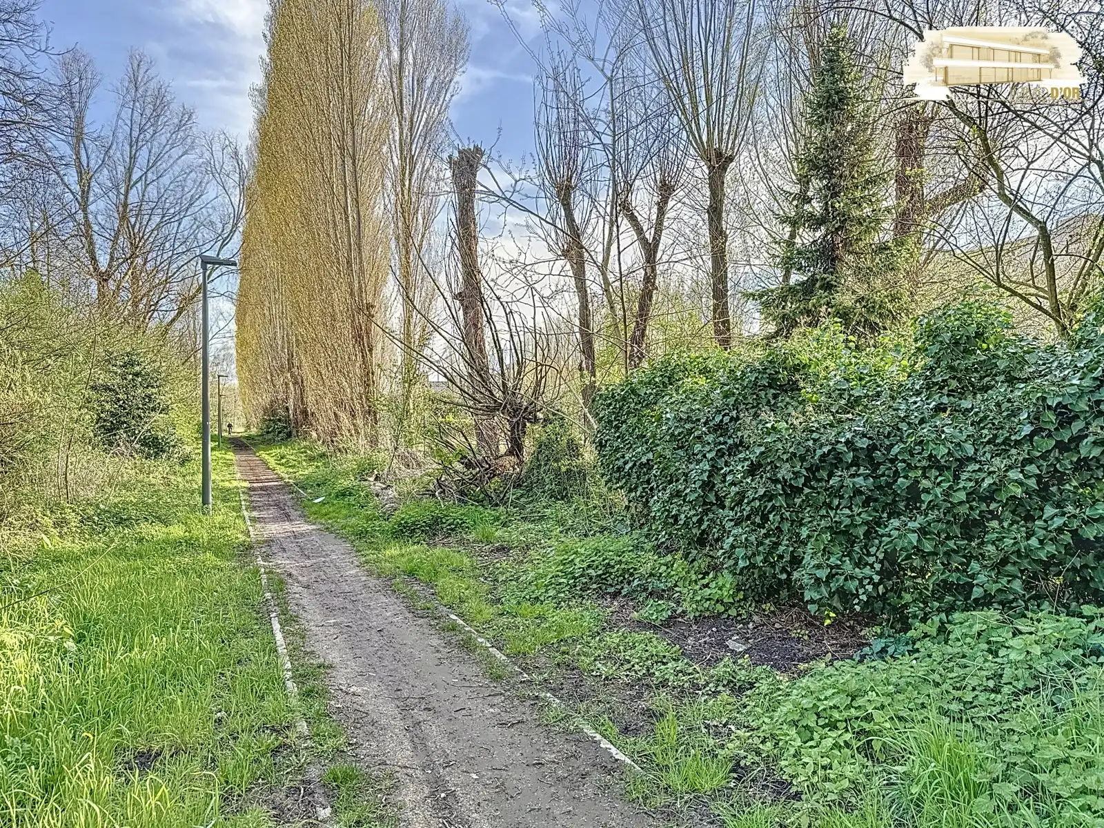 Zonnig 2-slpks appartement met zuidterras & groen uitzicht foto 13