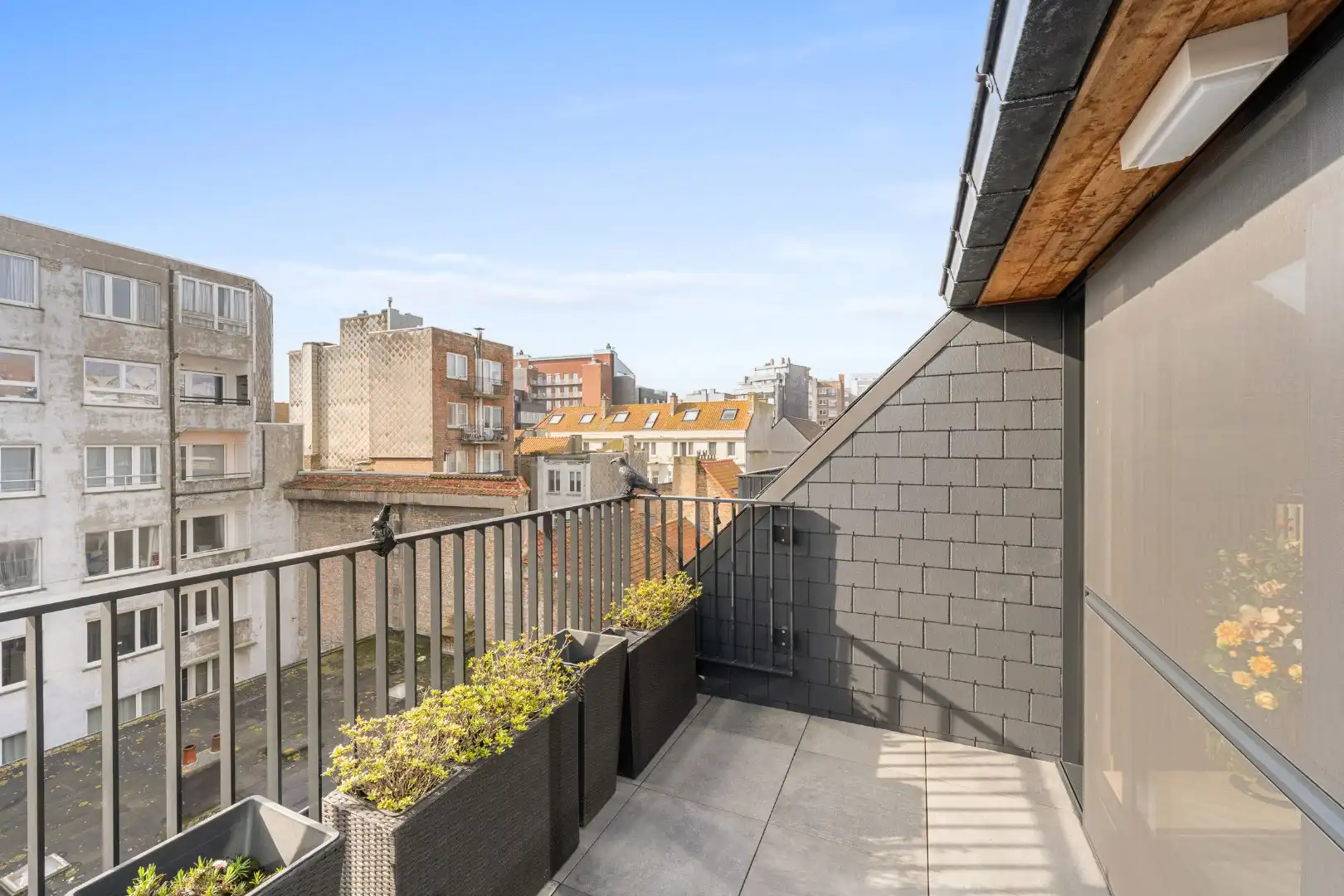 Assistentiewoning te koop in Oostende – erkende assistentiewoning met 2 terrassen en veel lichtinval nabij zee foto 2