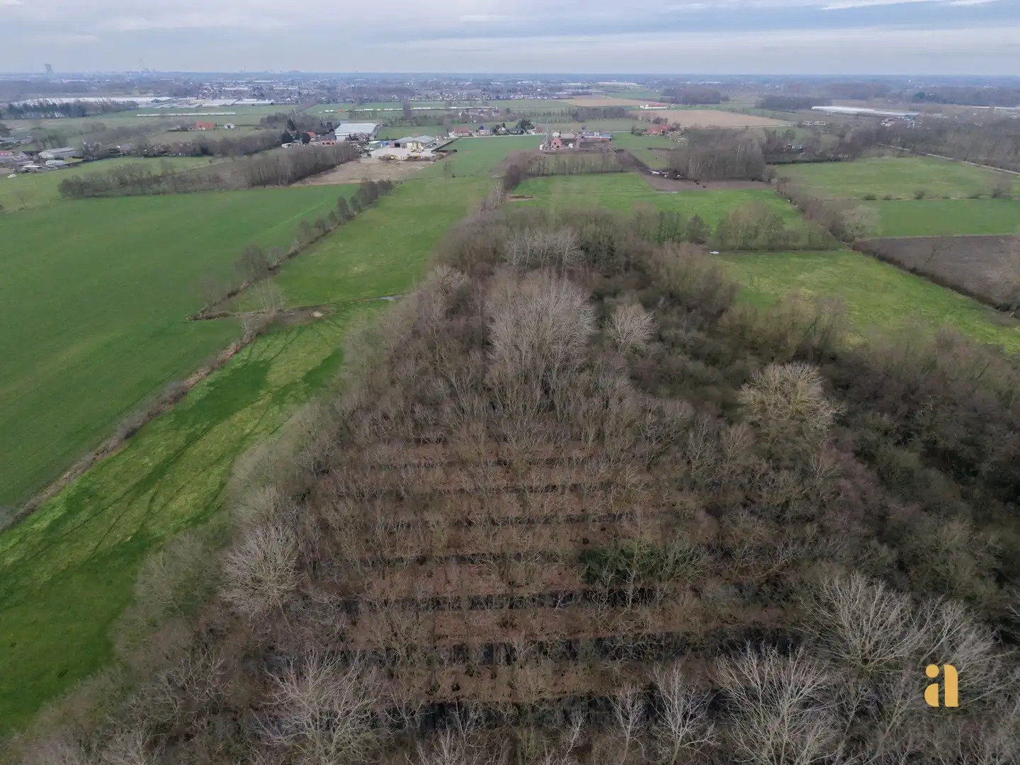 Bosperceel met aangrenzend weiland in landelijke omgeving foto 6