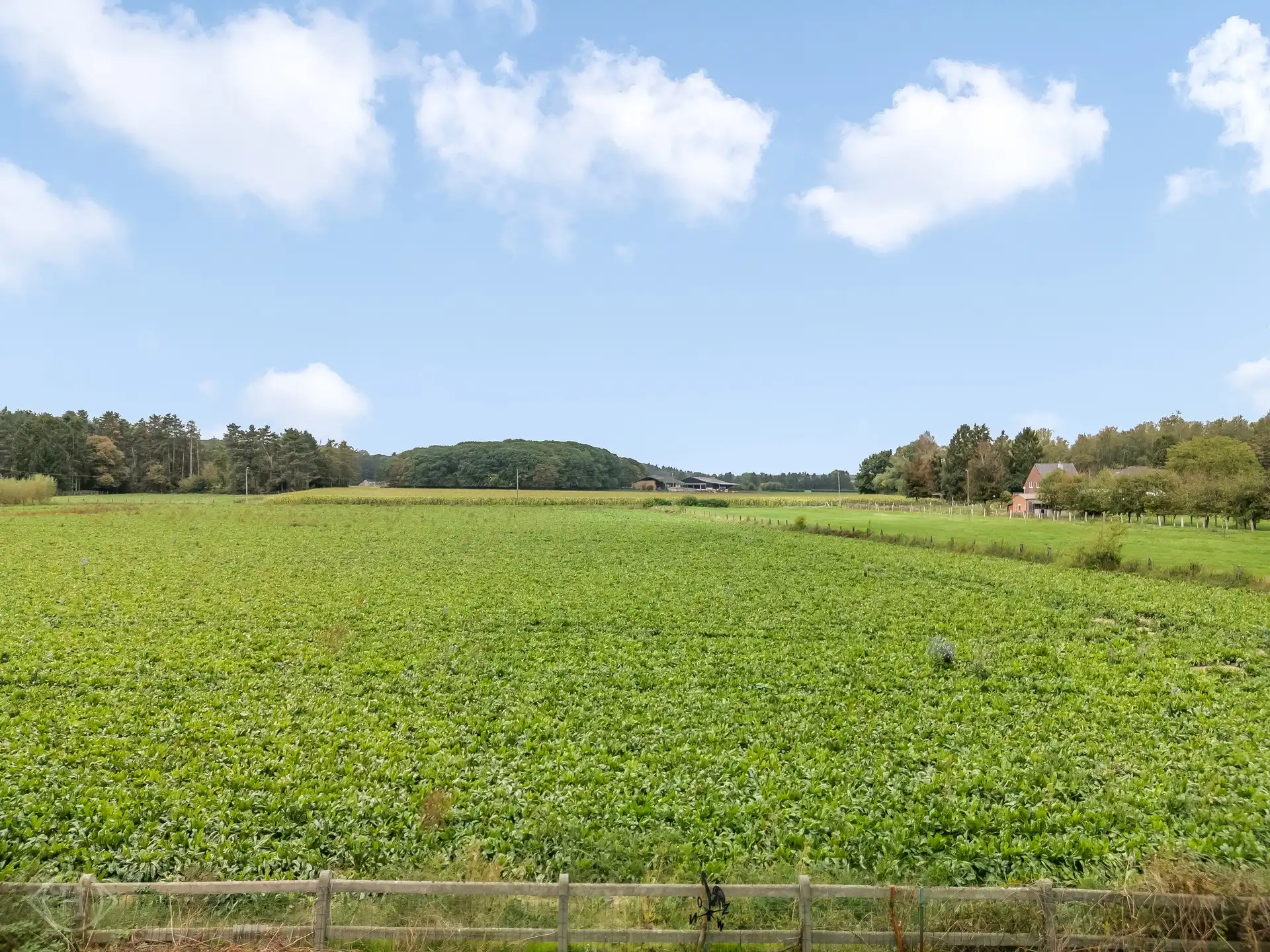 Uniek perceel met prachtig uitzicht te Blanden foto 15