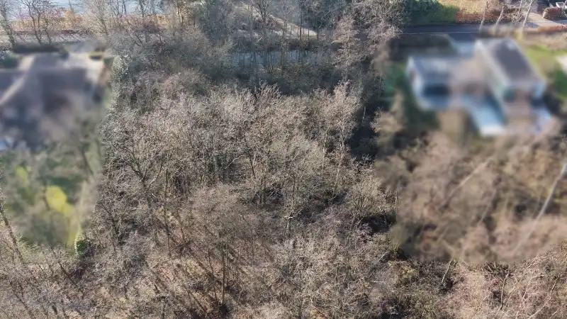 Bouwgrond van 12 are met perceelsbreedte van 24 meter foto 7