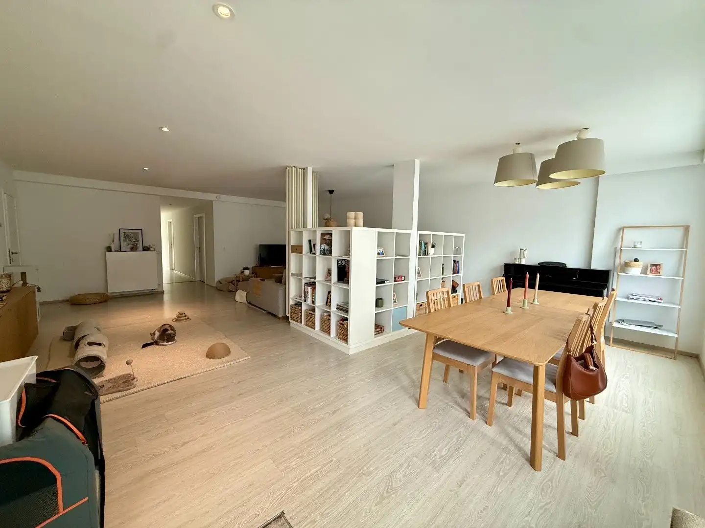 Ruim en aangenaam gelijkvloers appartement met kleine tuin achteraan  foto 2