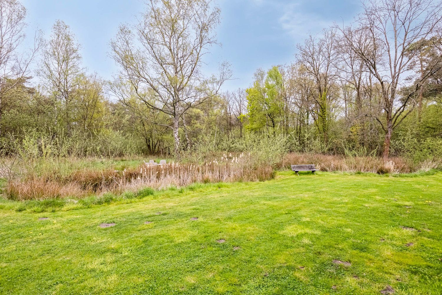 Idyllisch gelegen landhuis in een oase van rust te Lommel foto 40