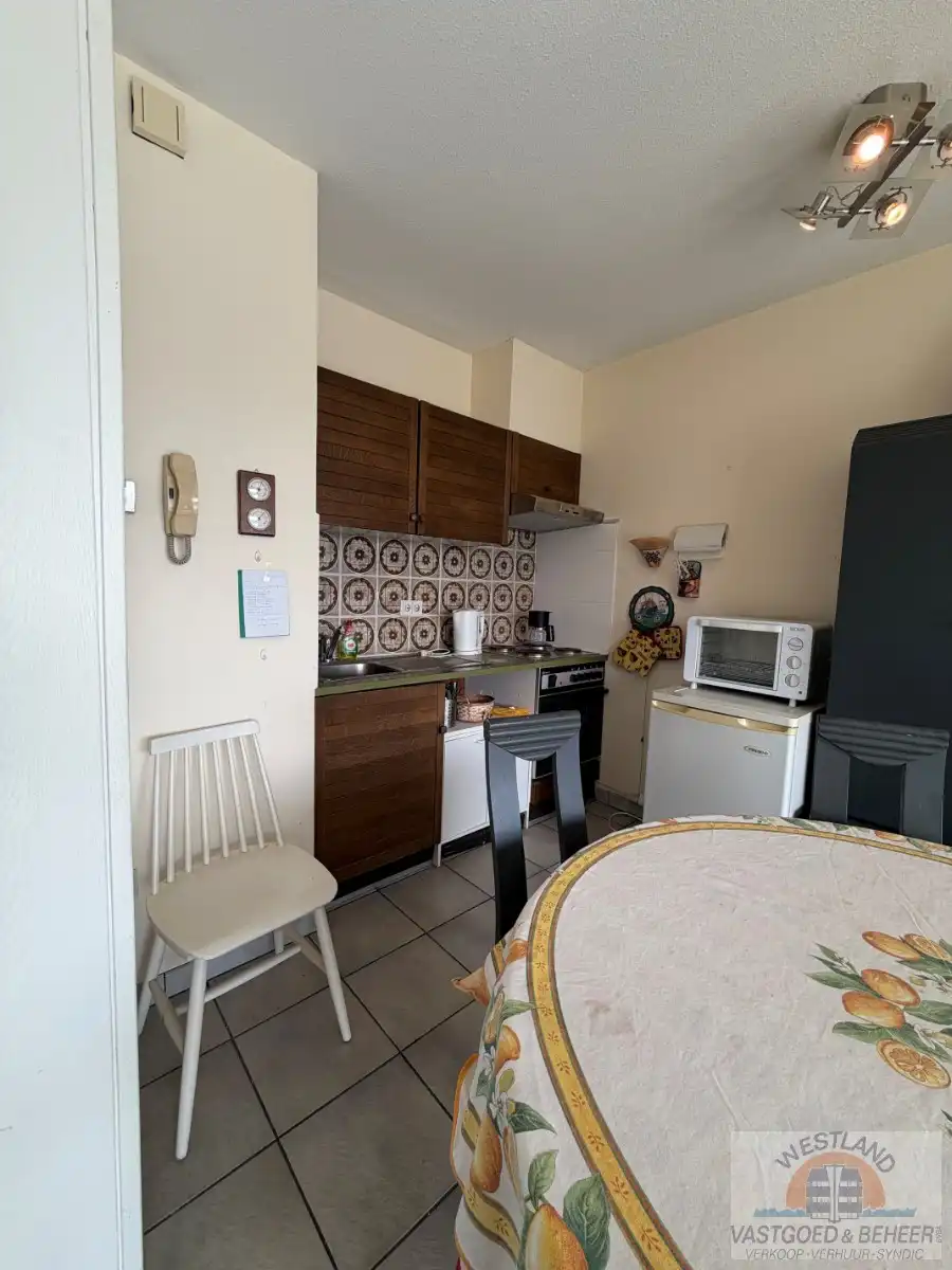 Ruime studio met zicht op de duinen foto 3