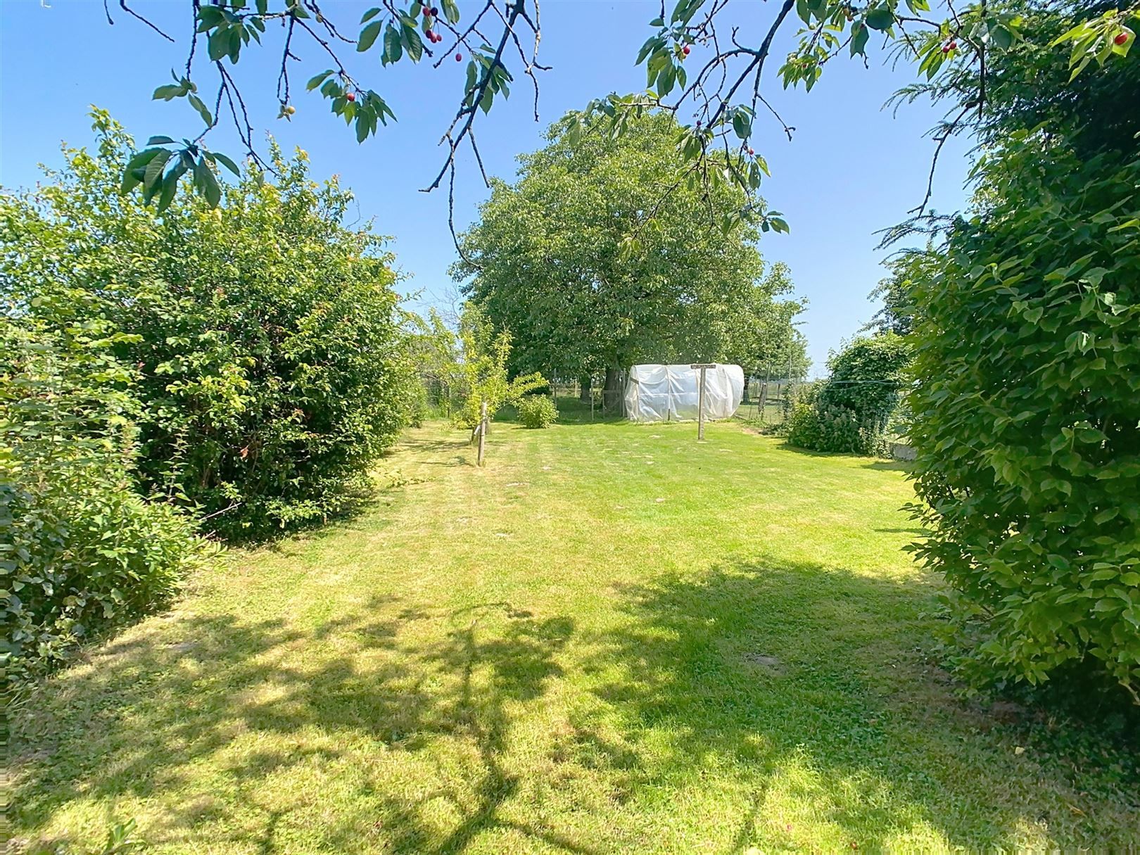 Ruime woning, 3 slpks (+ inrichtb zolder), tuin, 9a 53ca  foto 9