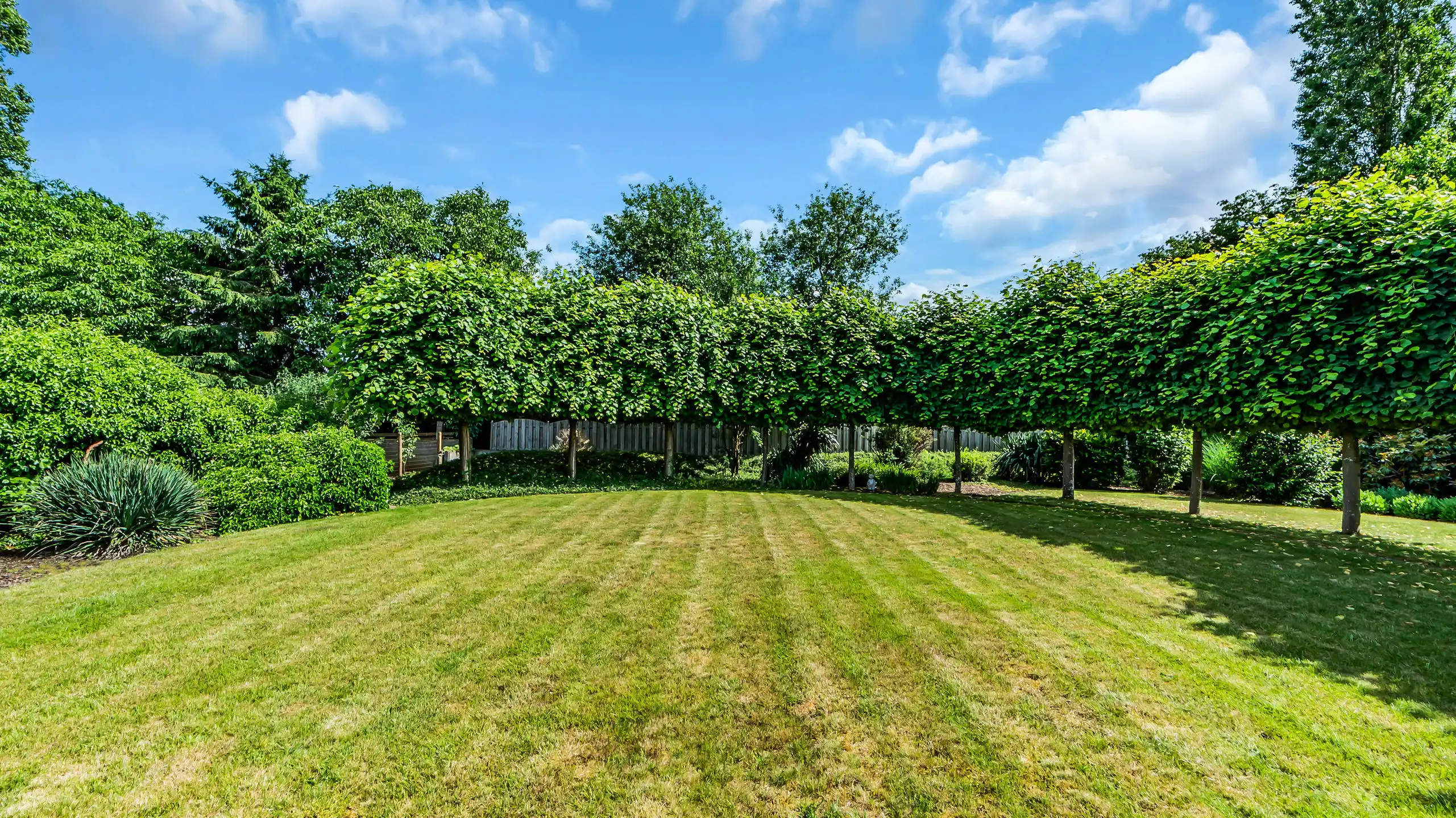 Huis te koop foto 10