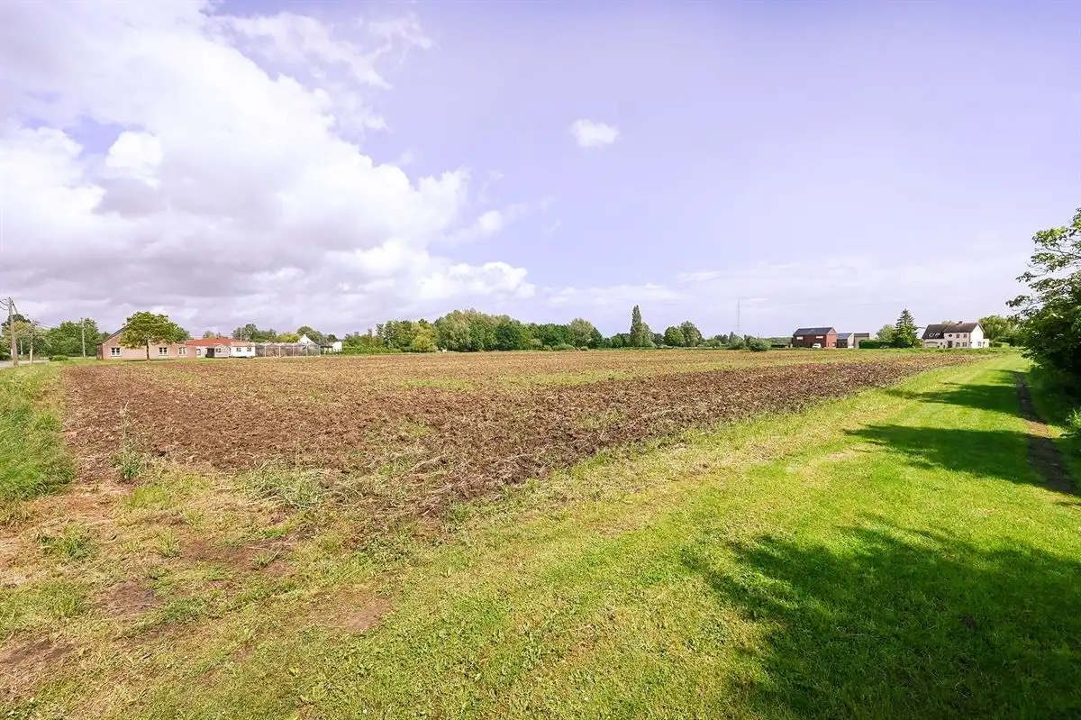 Supergezellige woning met 2 weilanden op grens Lint/Boechout/Lier foto 37