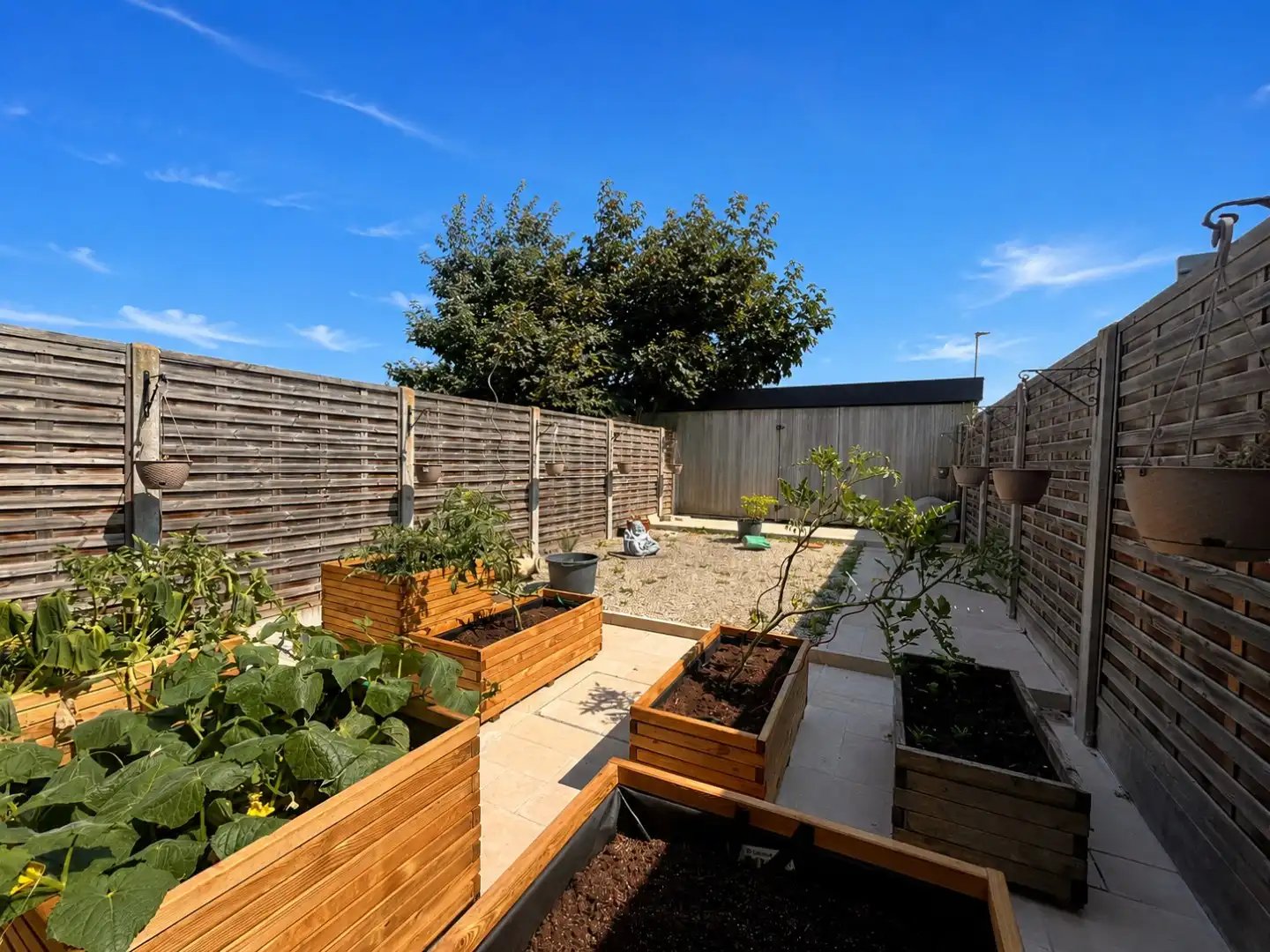 Recente woning met 3 slks, carport, tuin,... foto 4