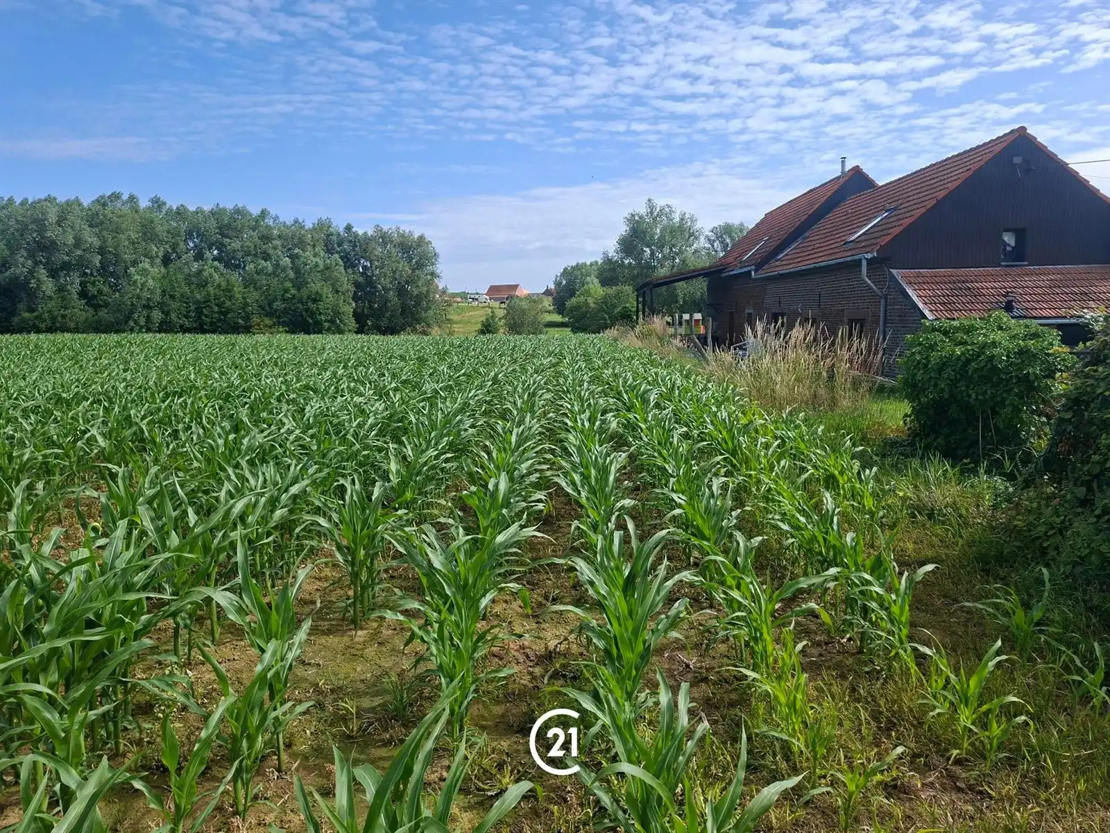 Prachtig perceel landbouwgrond 2hect67 bereikbaar via losweg foto 4